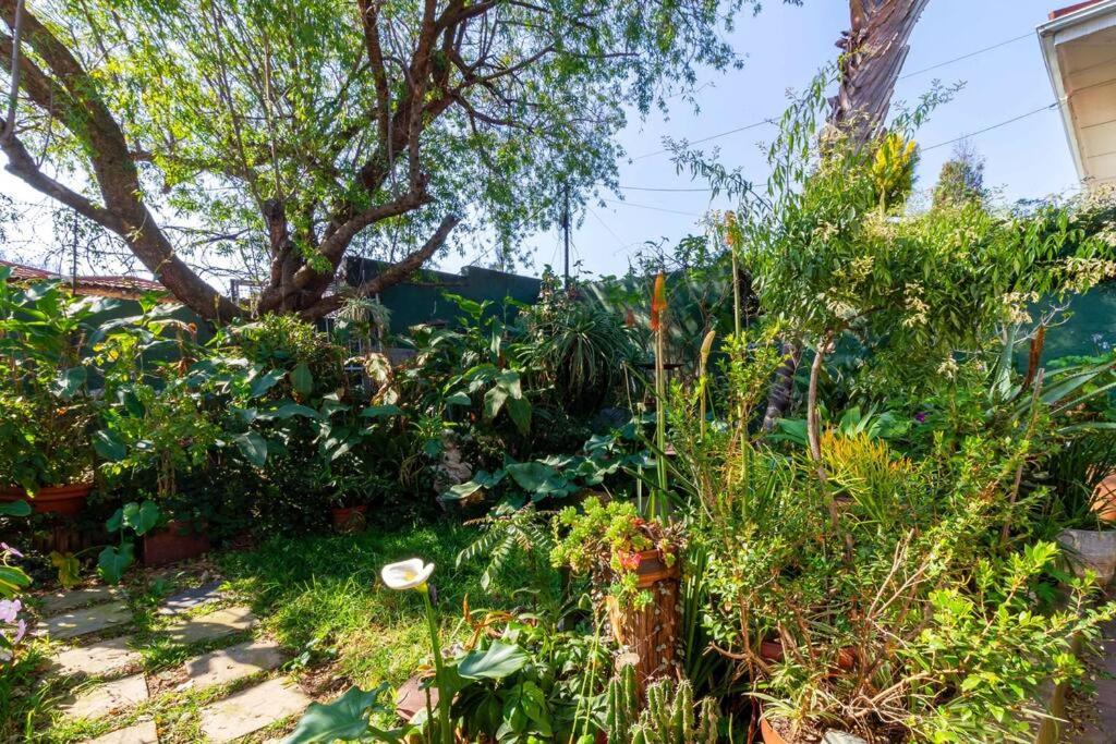 1 Bedroom Apartment in Houghton with Uninterrupted WiFi