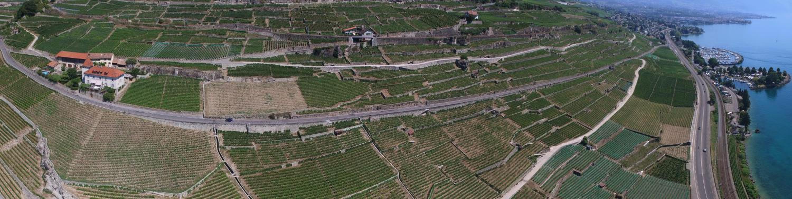 Domaine du Burignon