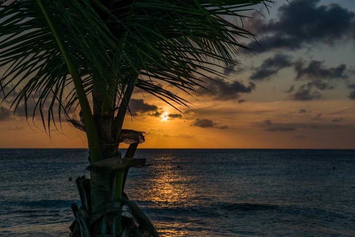 Delfins Sunset at the most Beautiful Beach Resort
