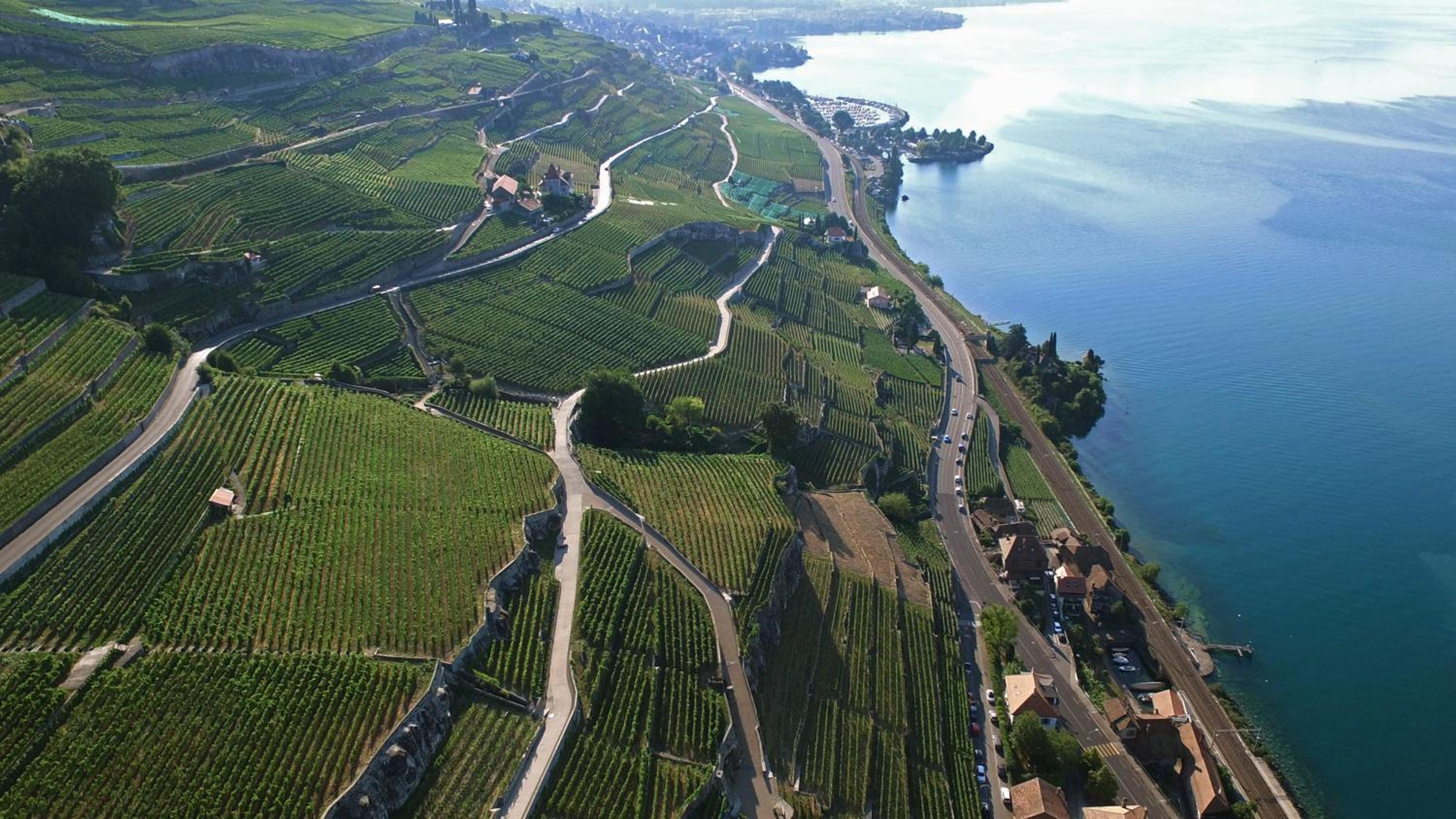 Domaine du Burignon