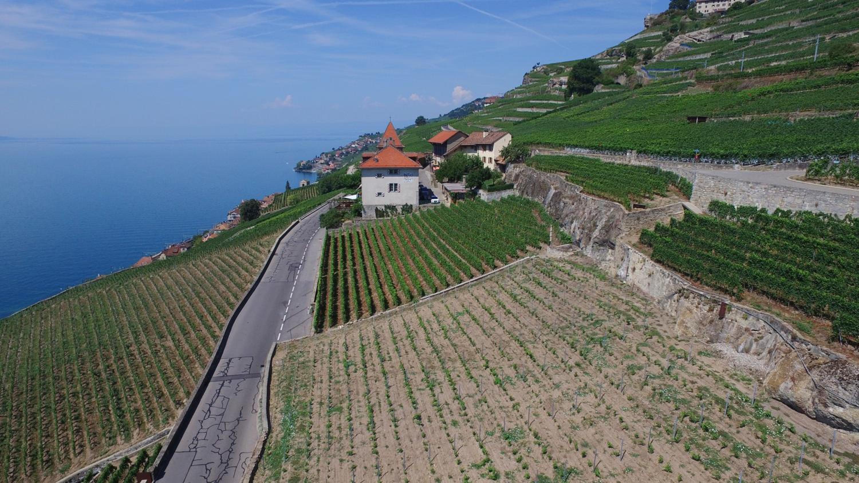 Domaine du Burignon