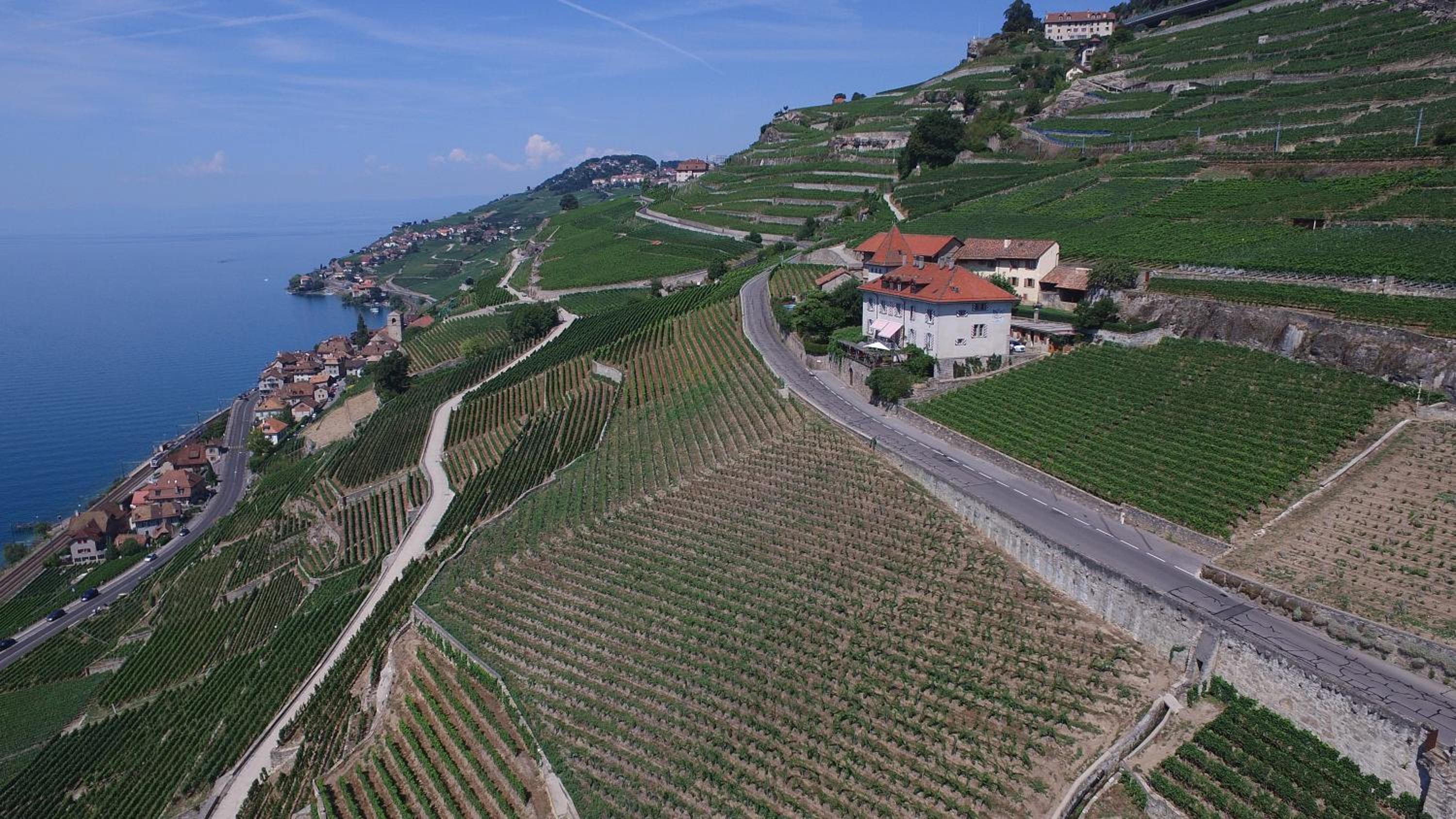 Domaine du Burignon
