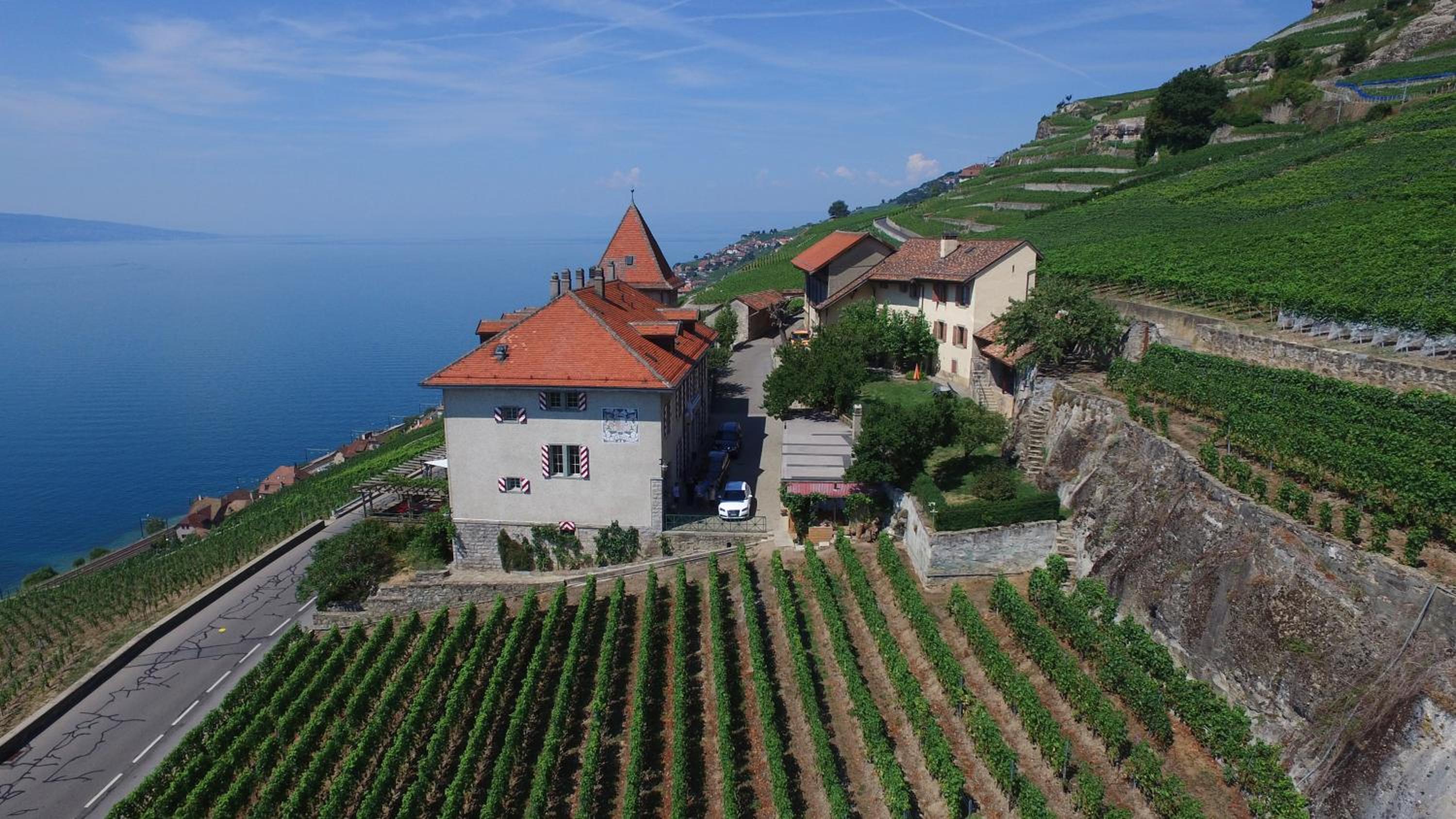 Domaine du Burignon