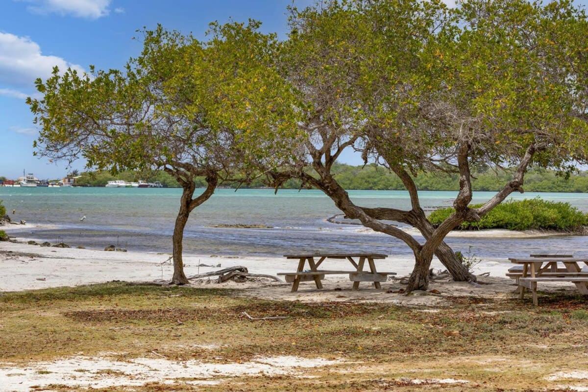 Lac Bay Casita 5