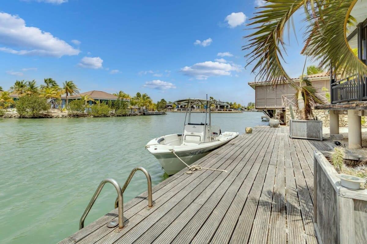 Coral Laguna in Laguna Marina
