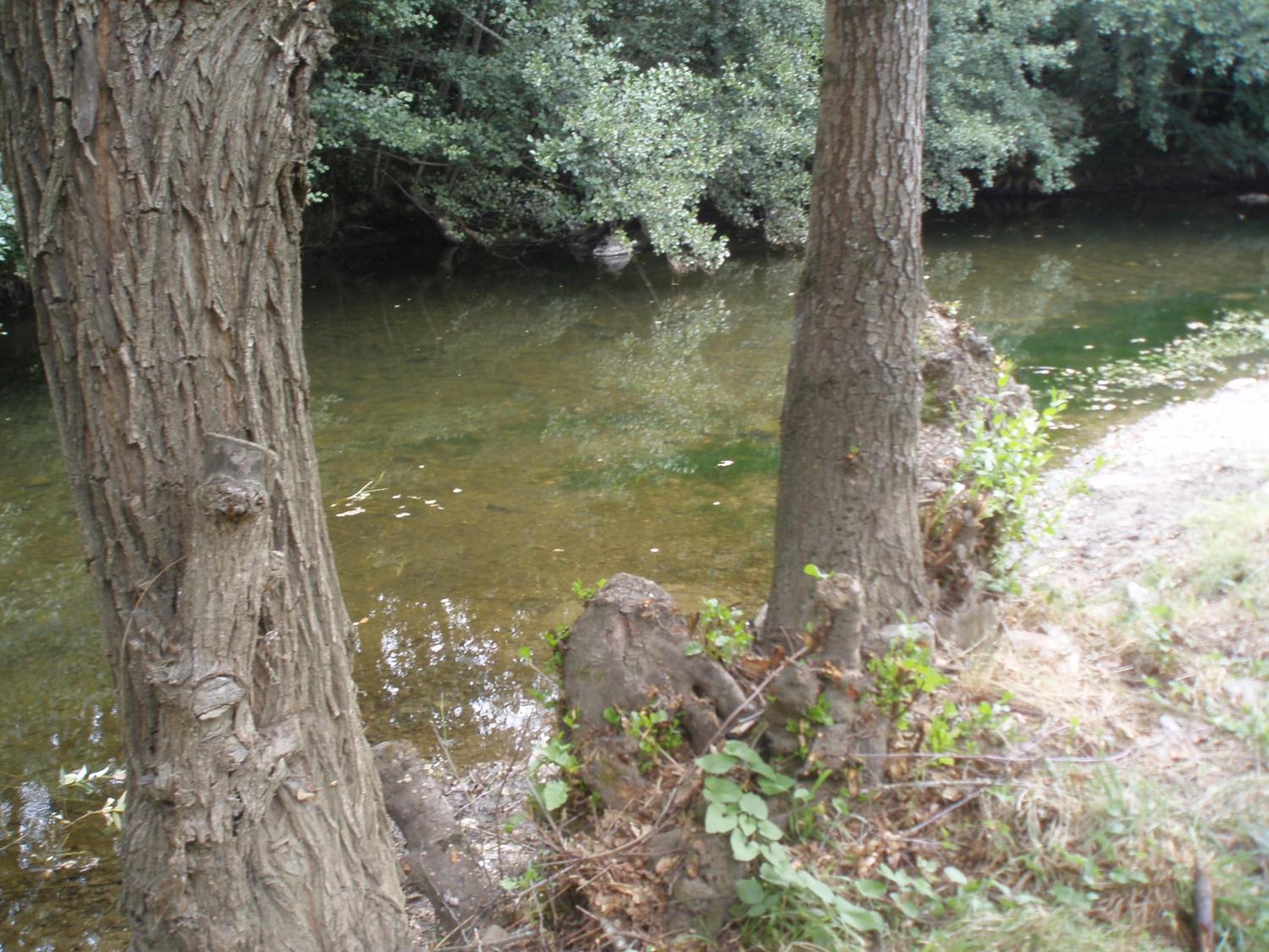 Photo 46