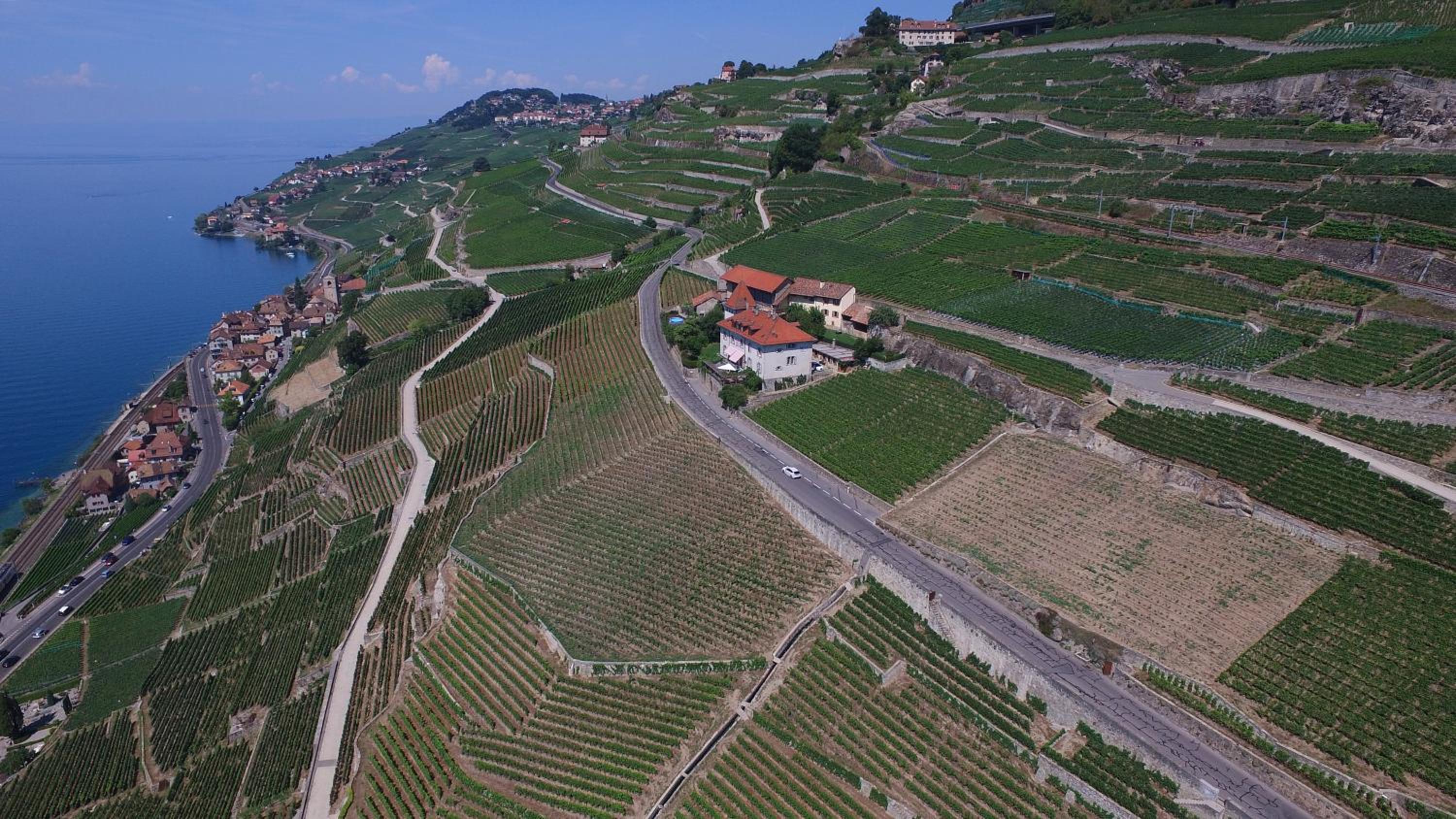 Domaine du Burignon