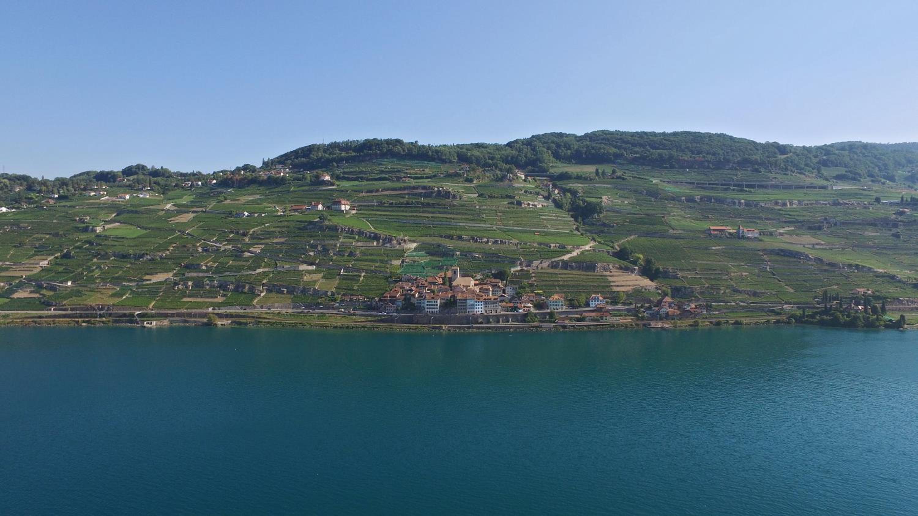 Domaine du Burignon