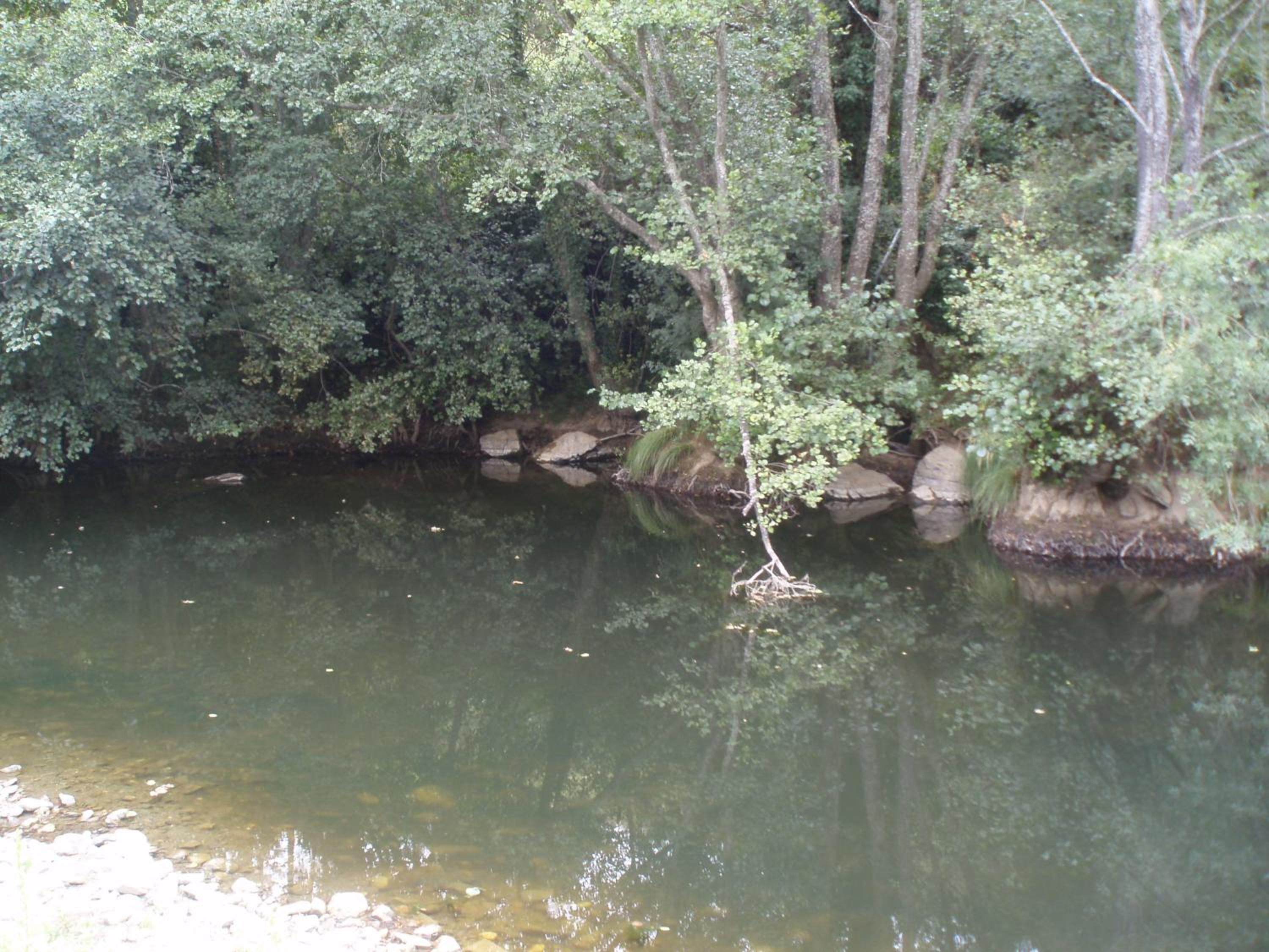 Photo 42