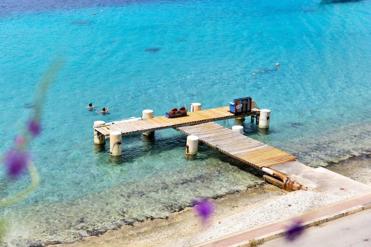 Playa Lechi Penthouse with full Ocean View