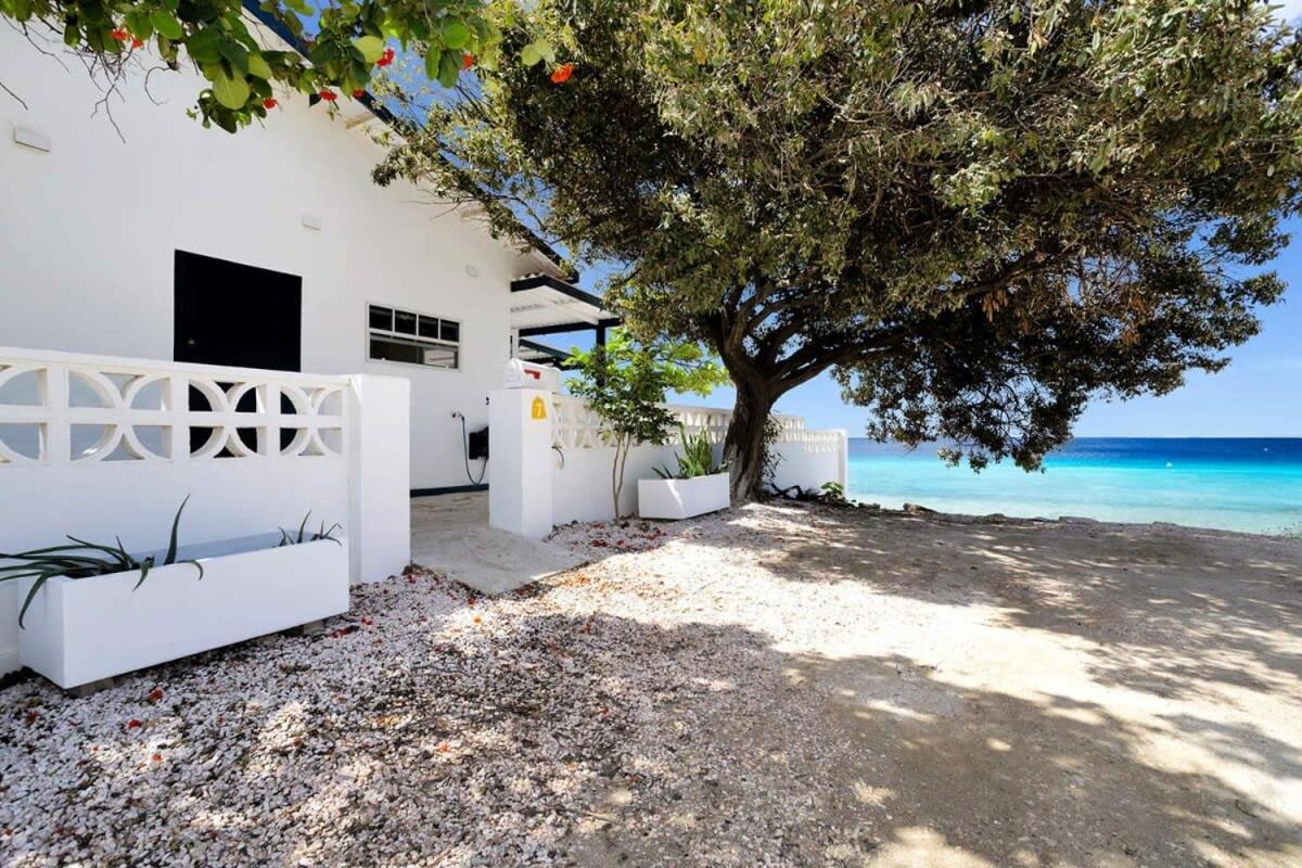 Pixel Paradise Oceanfront Villa with Stunning Views