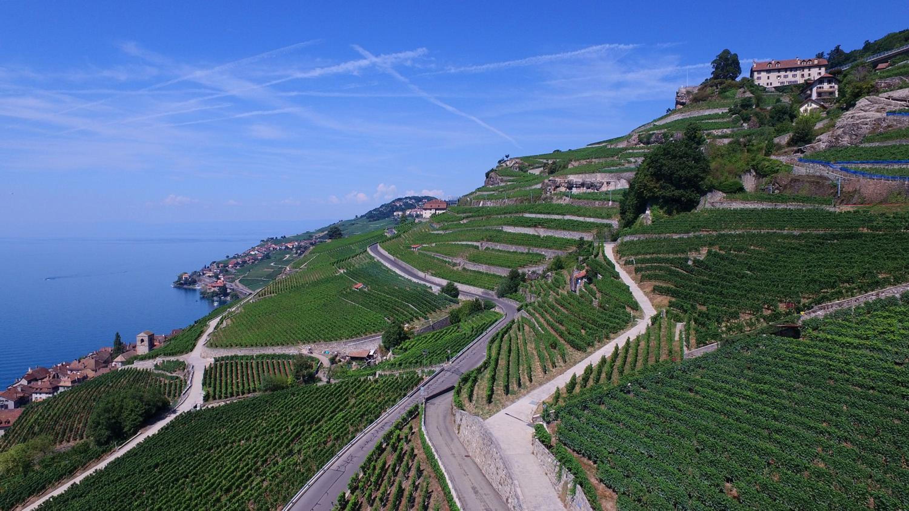 Domaine du Burignon