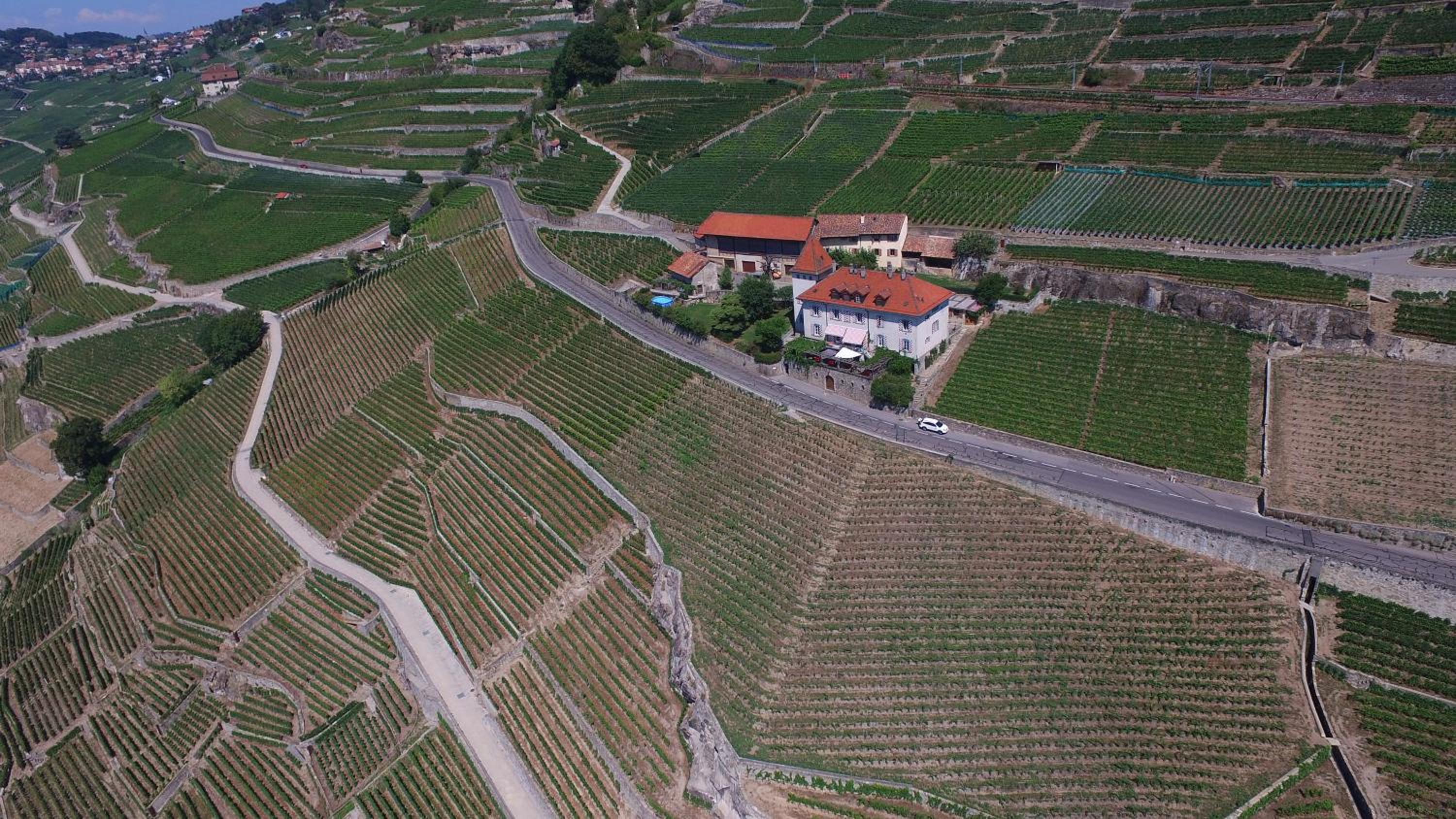 Domaine du Burignon