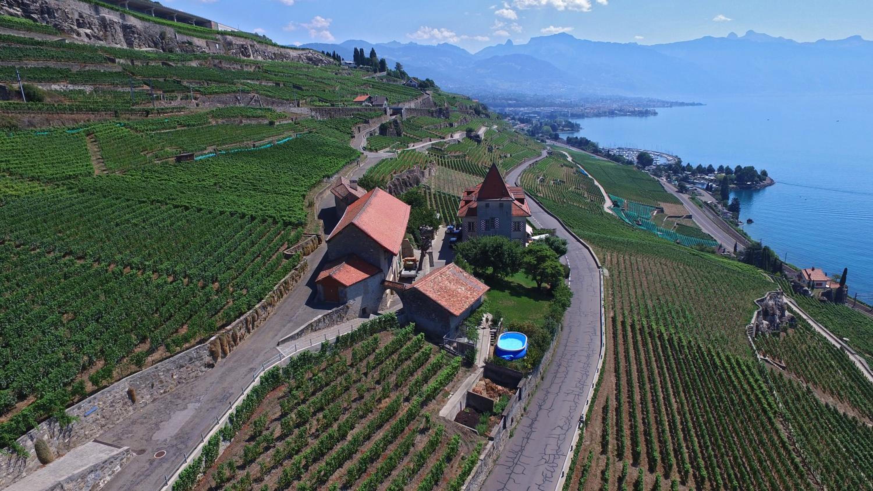 Domaine du Burignon