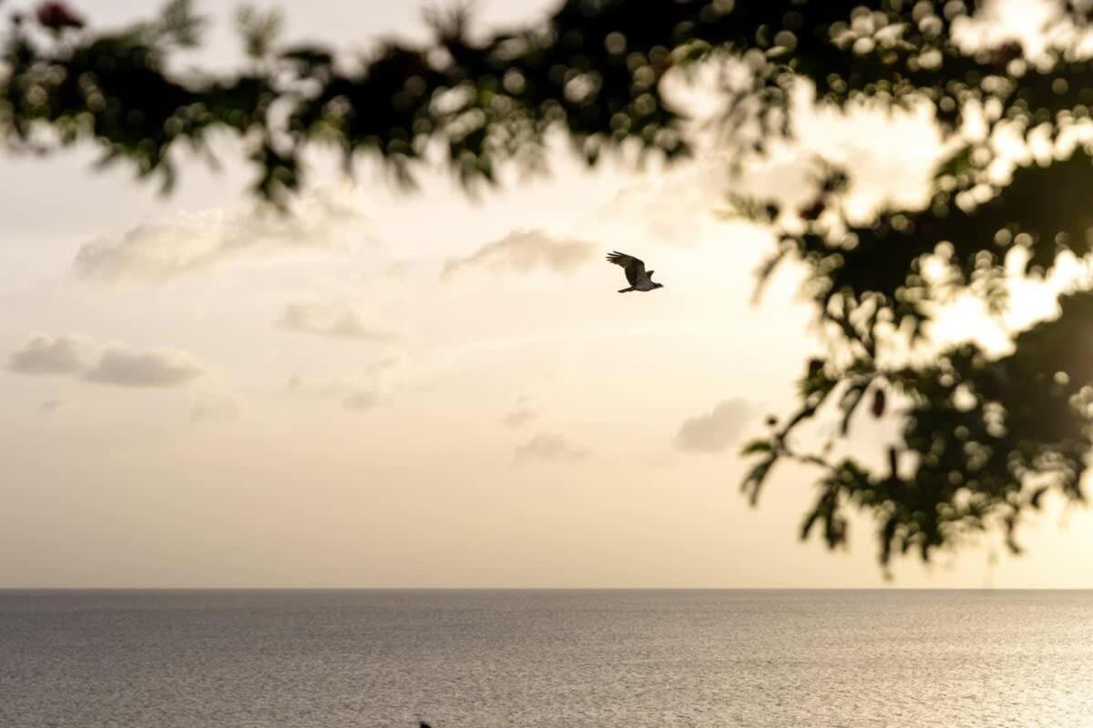 Villa Kokopelli with Great Views and Private Pool