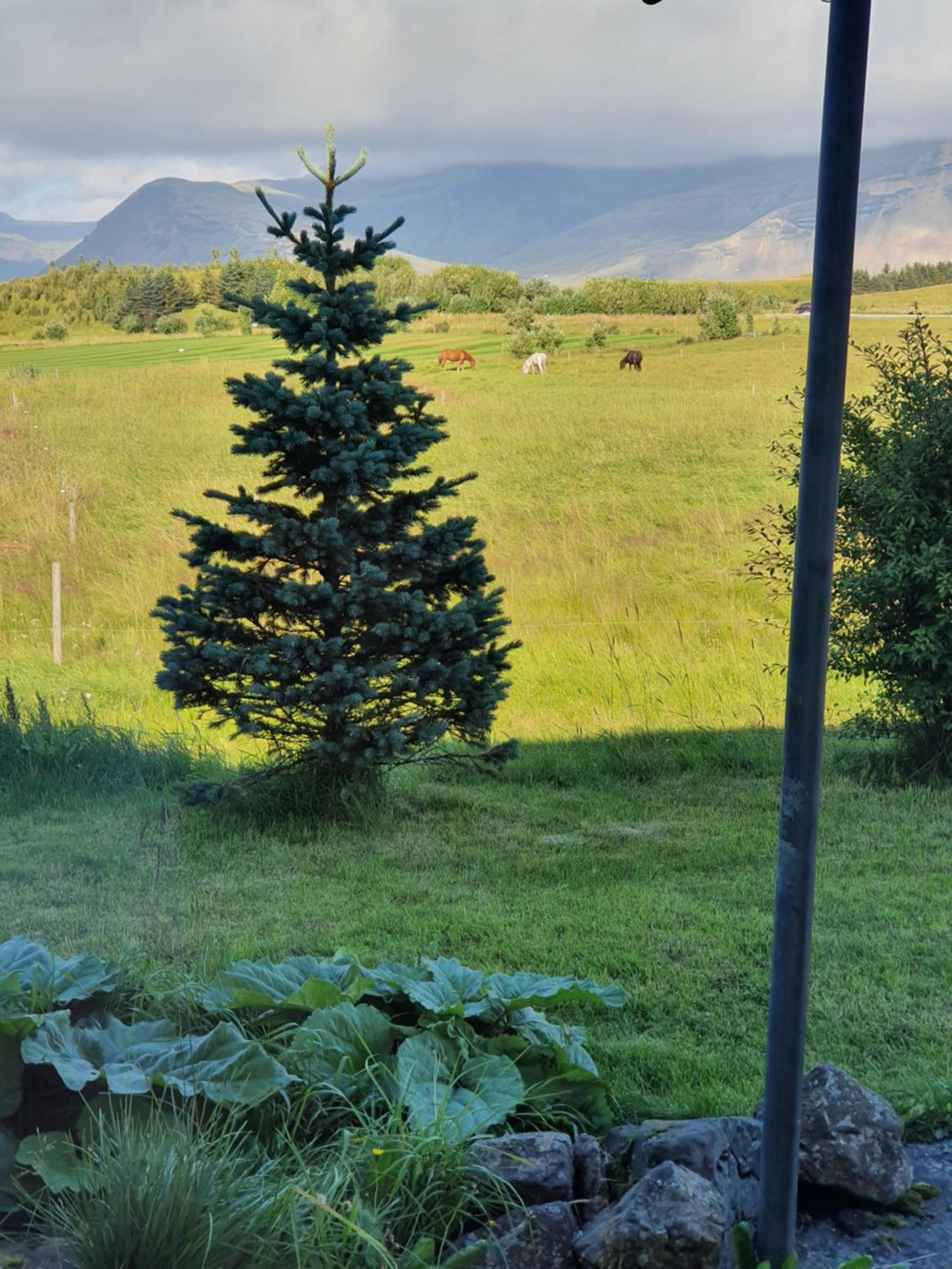 Studio apartment with great view in Höfn view 3