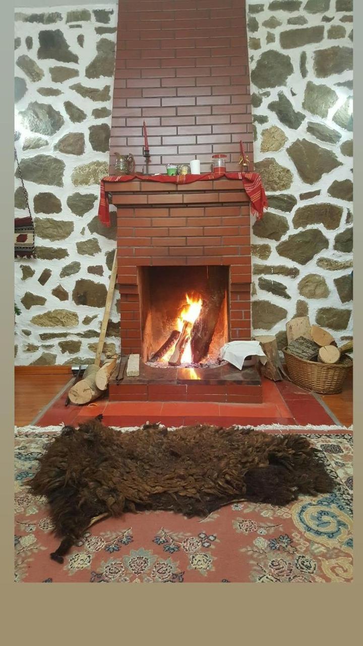 Bitro House