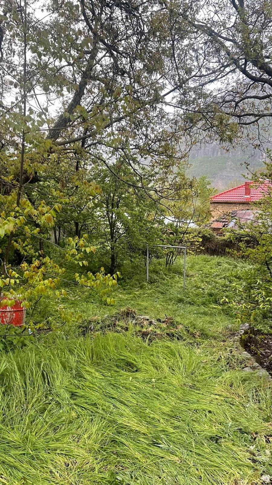 Bitro House