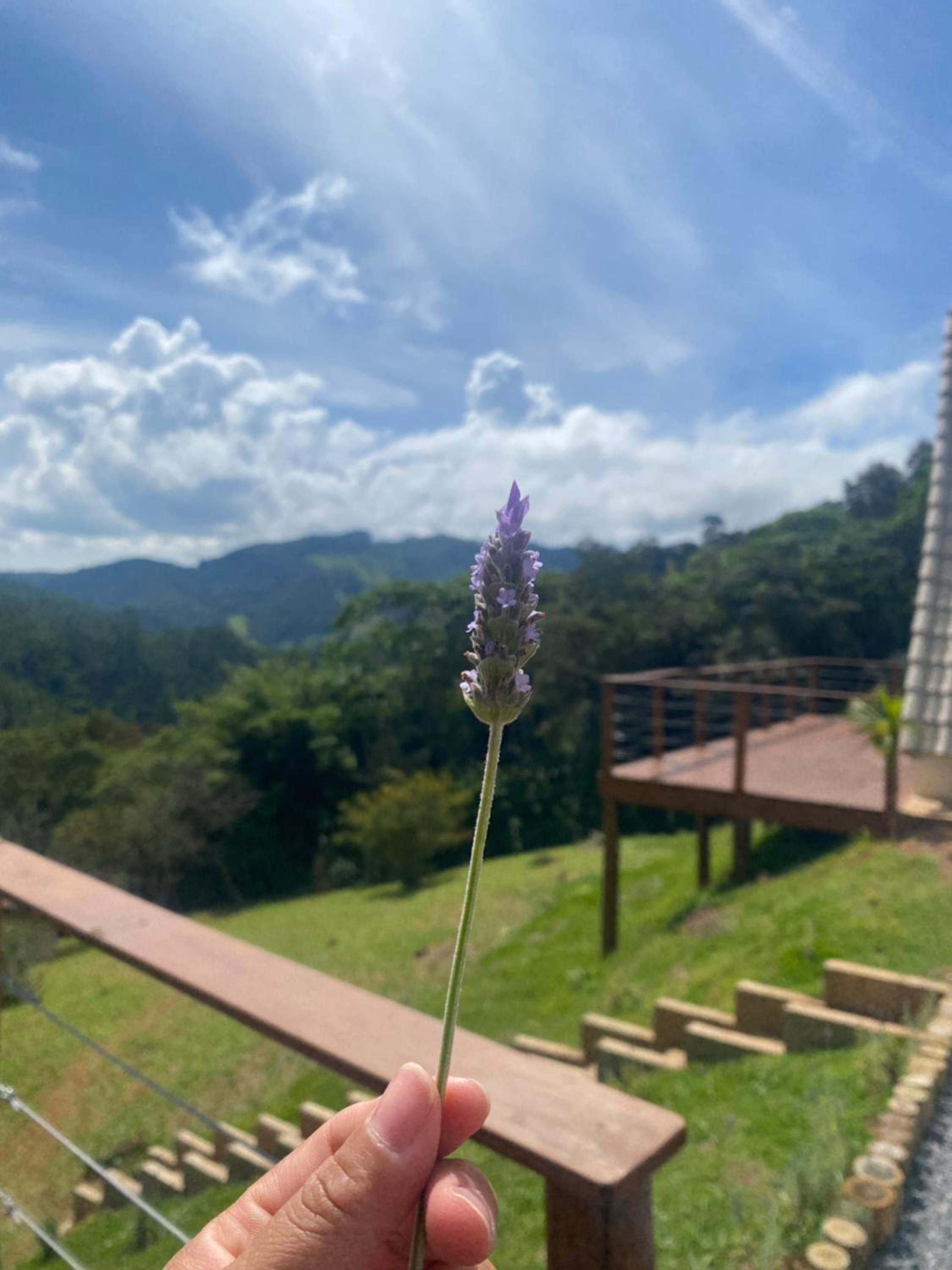 Chalés Fazenda Floresta das Araucárias