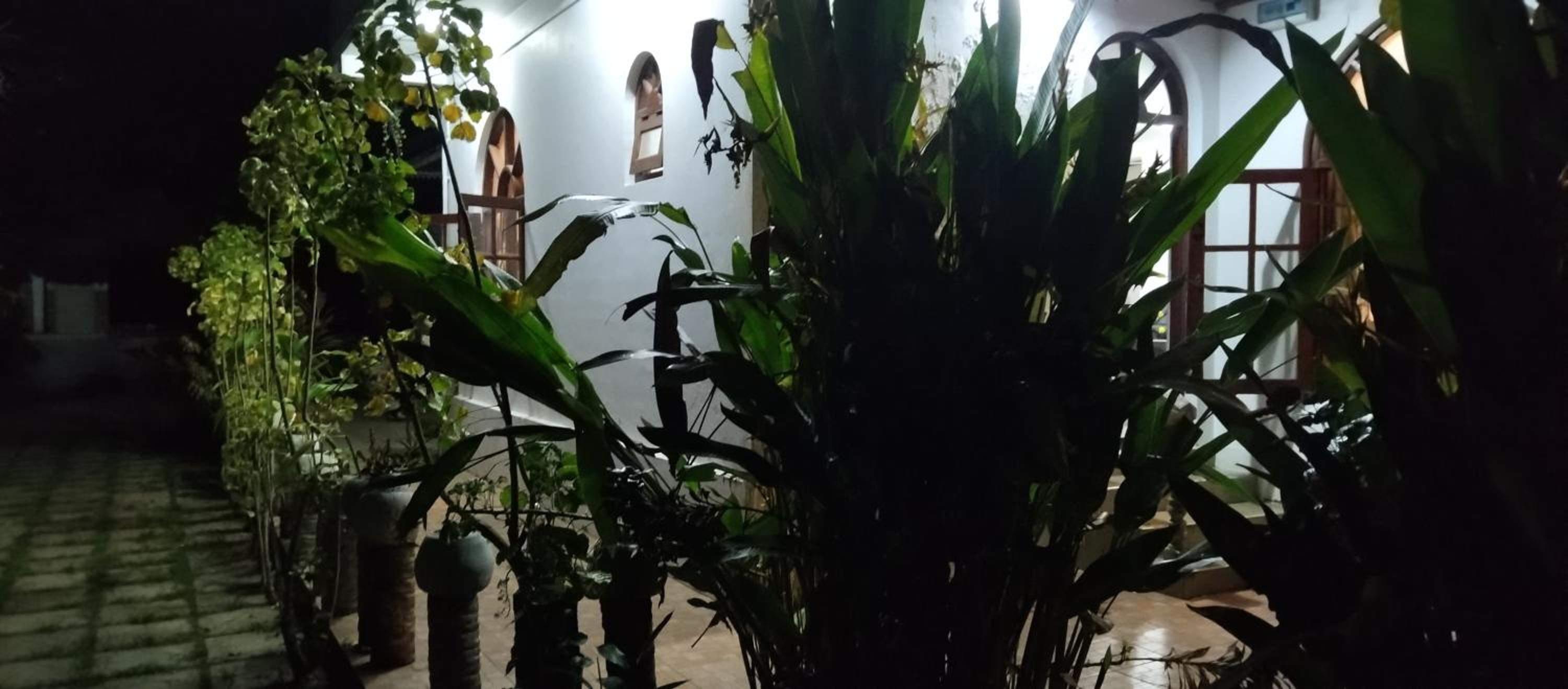 Photo 36