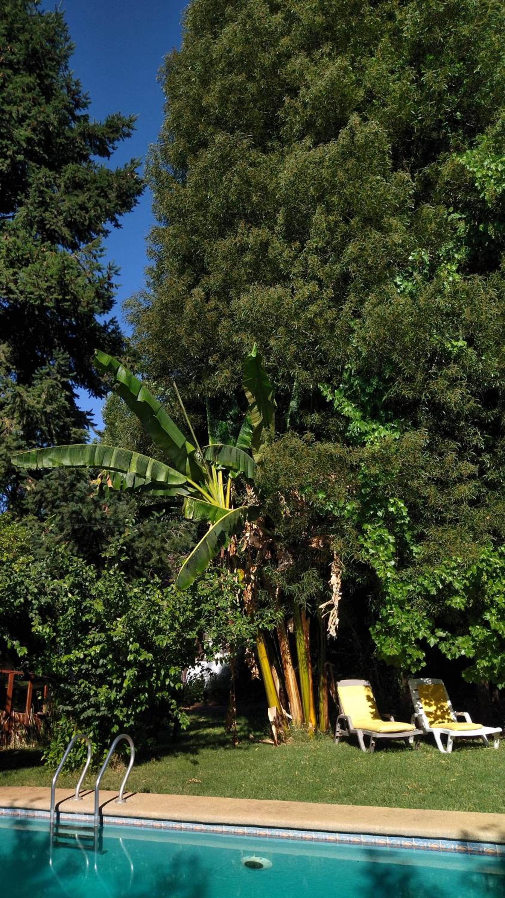La Casa de Adobe Natural y Más