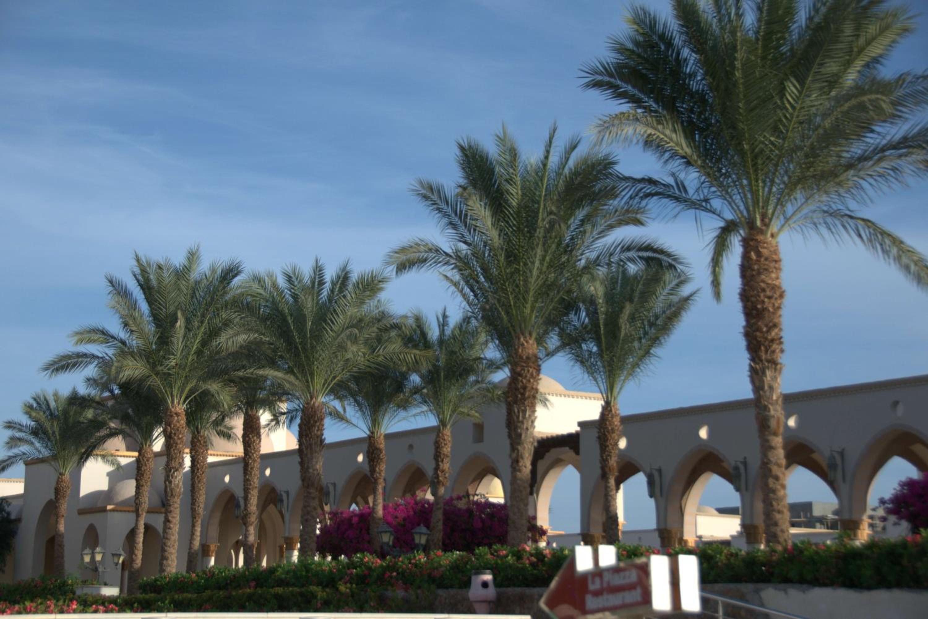 OSKENA Azzurra Sahl Hasheesh