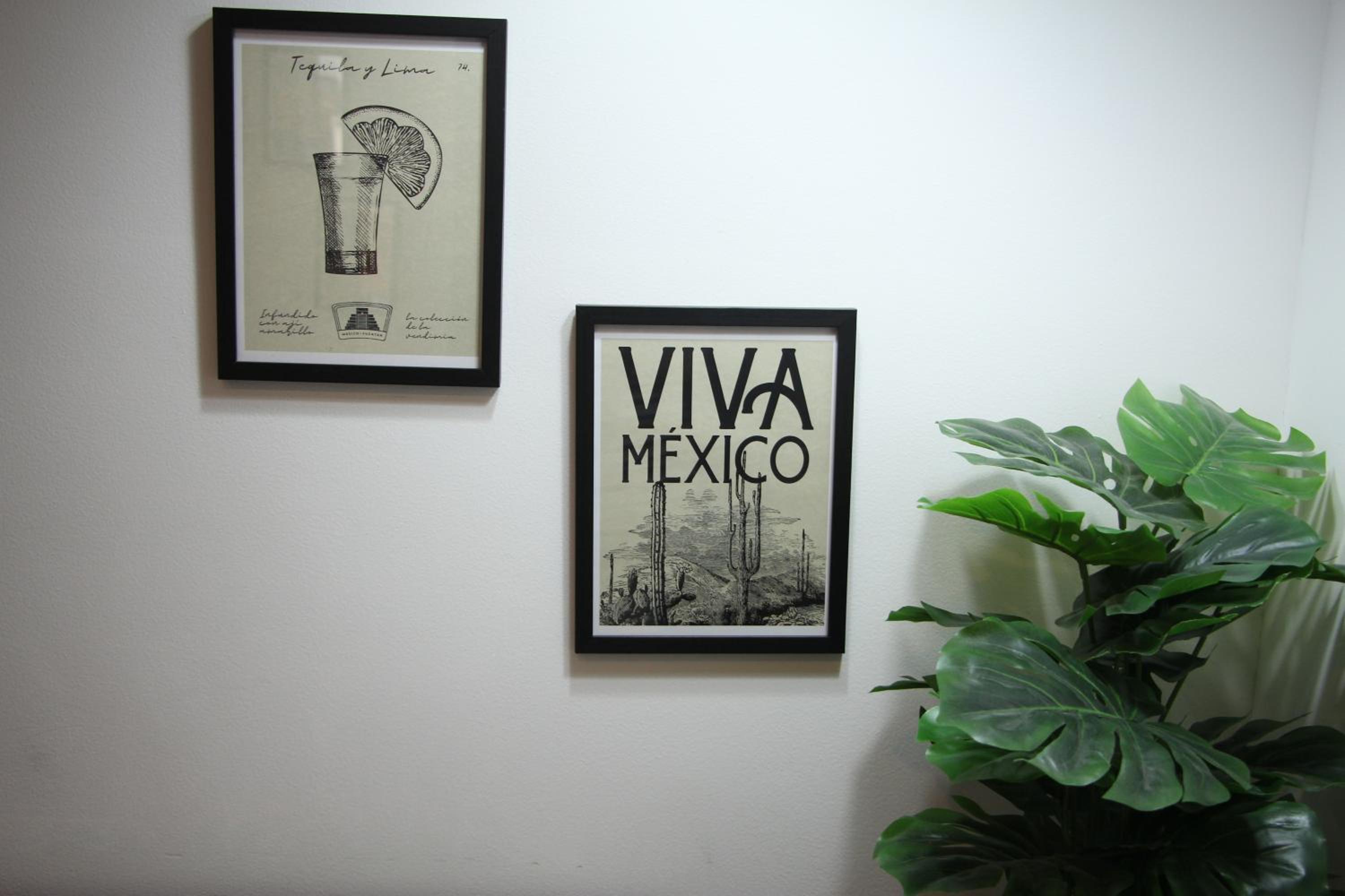 Roma Vista Loft- Oasis en el corazón de la Roma photo 3