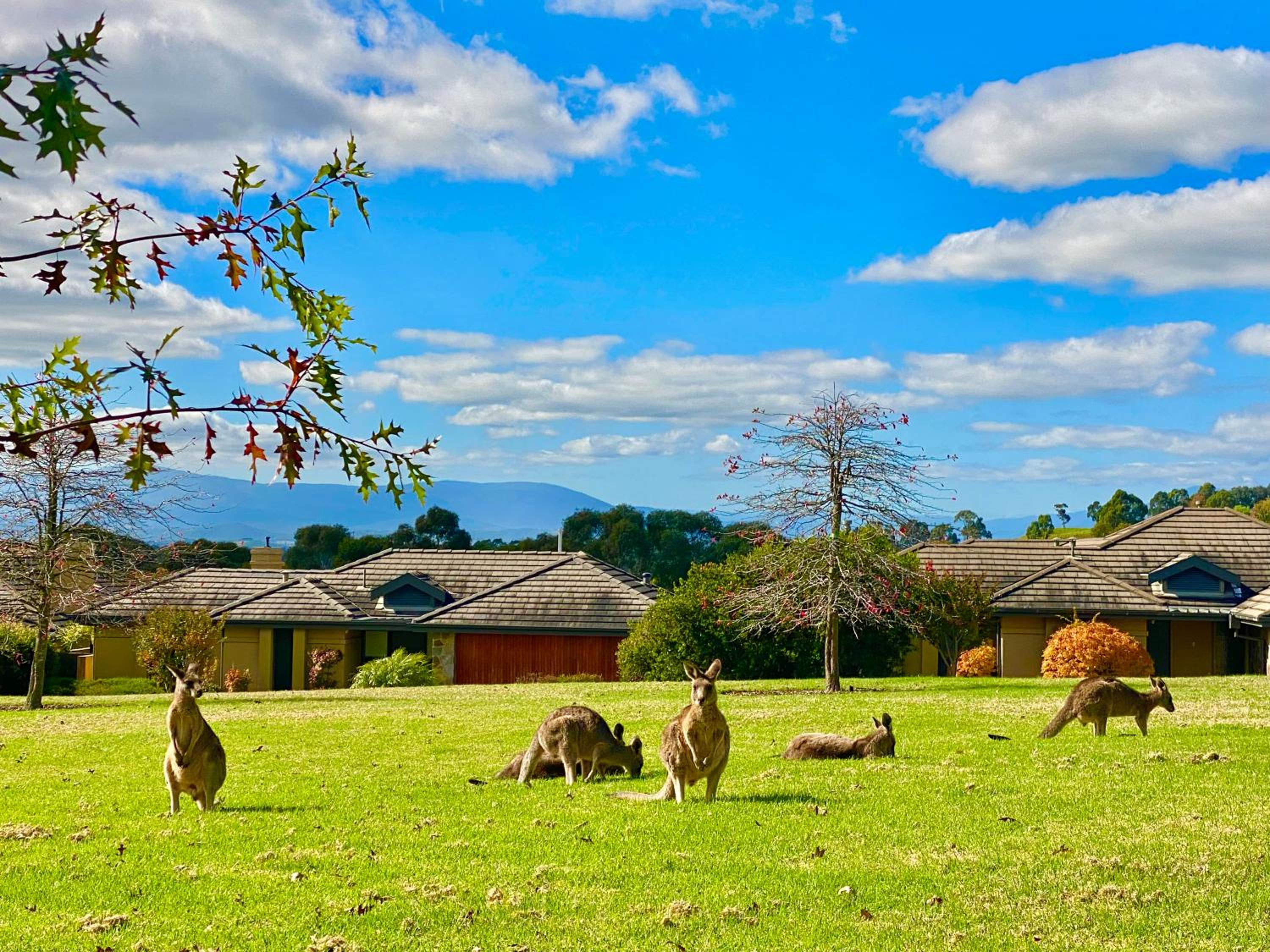 Yarra Valley Serenity House in Golf Course Resort