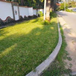 Photo 6