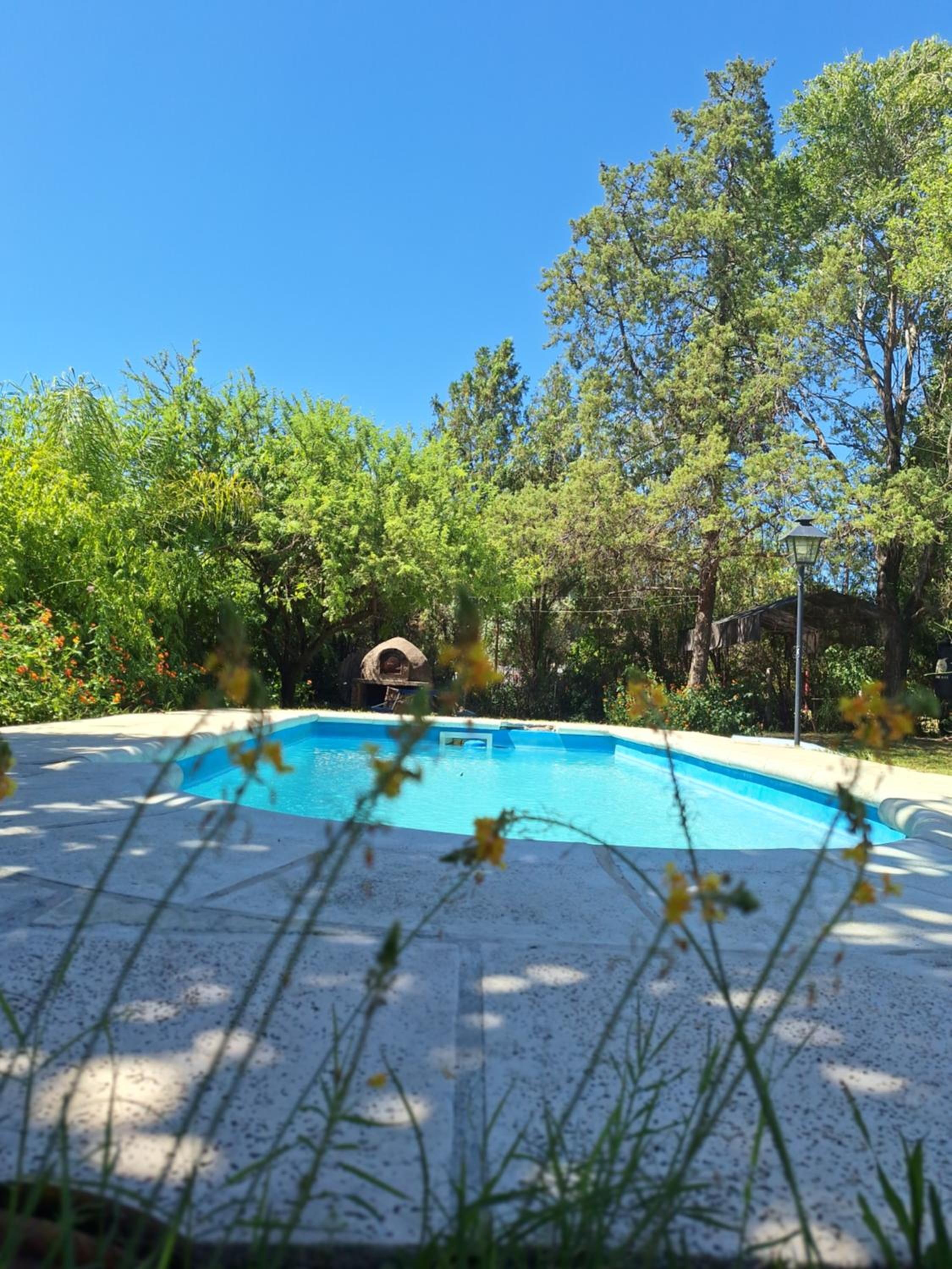 VILLA PANCHA - Casa de Campo - - Image 1