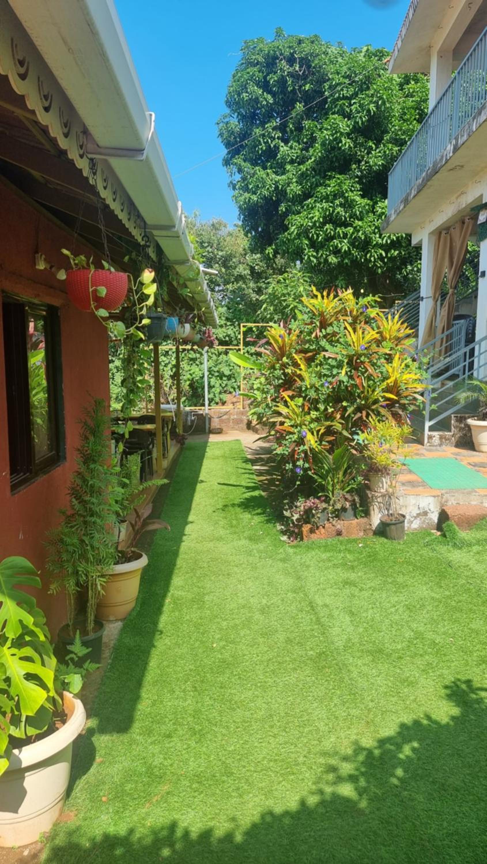 Photo 52