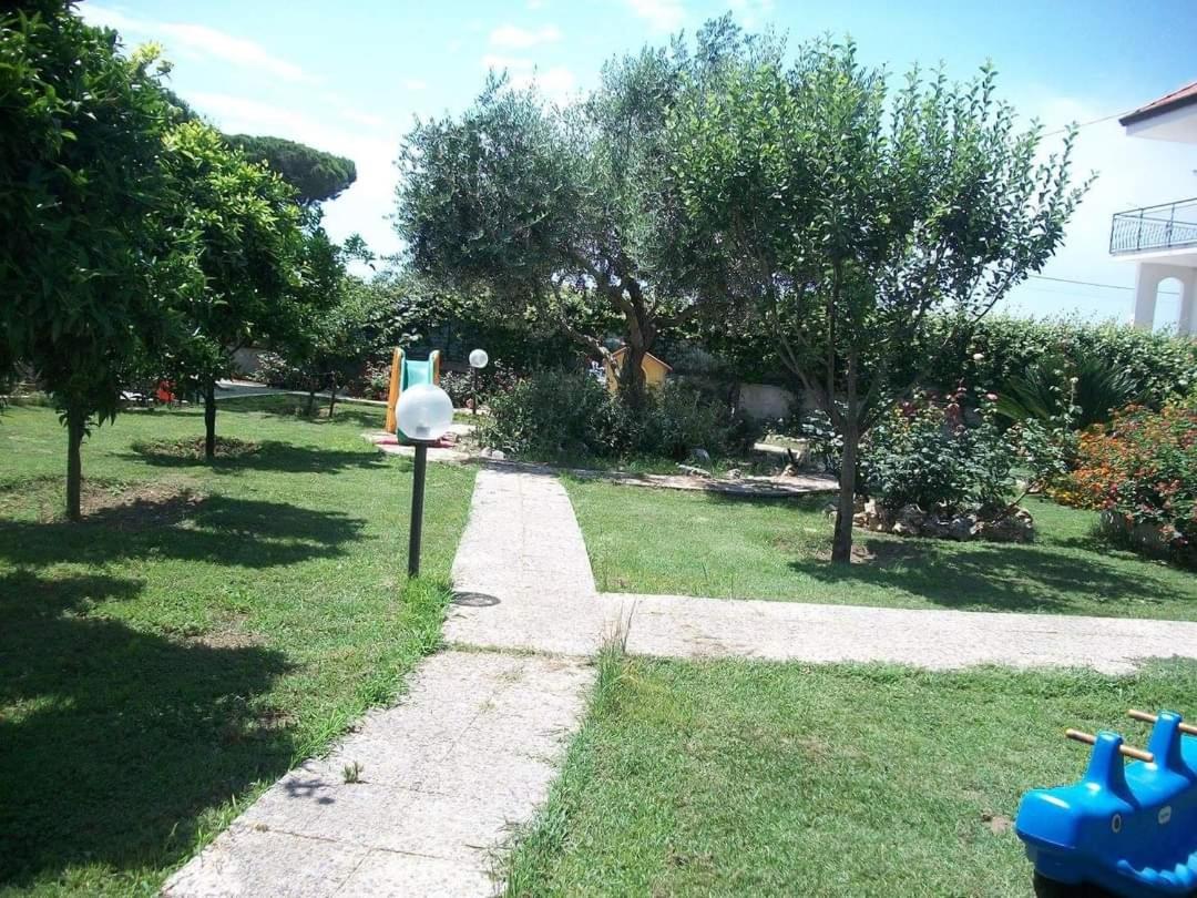 Photo 16