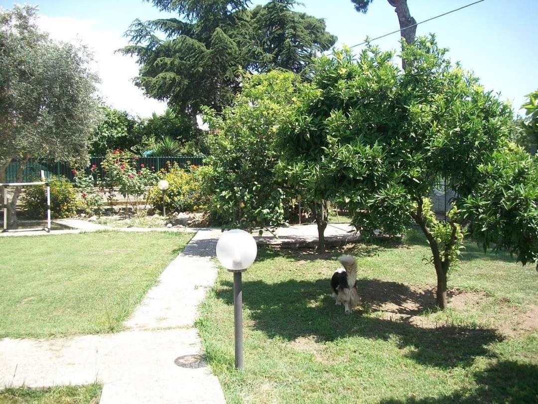Photo 27