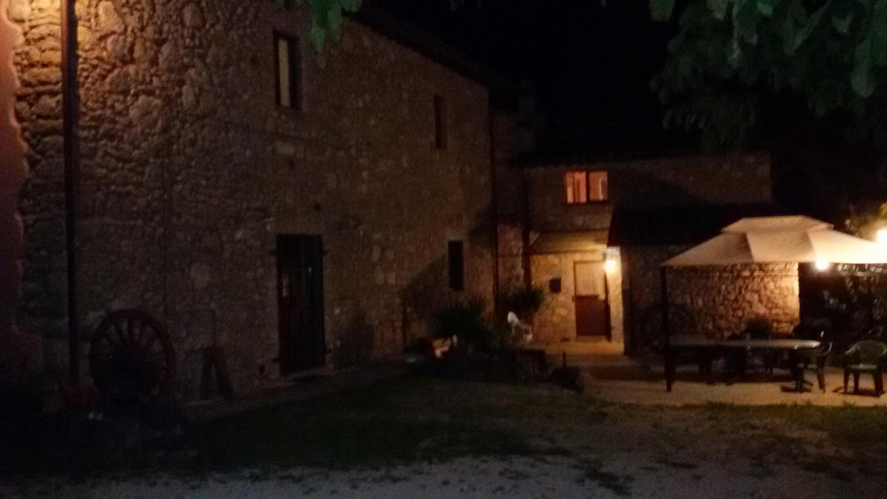 Photo 42