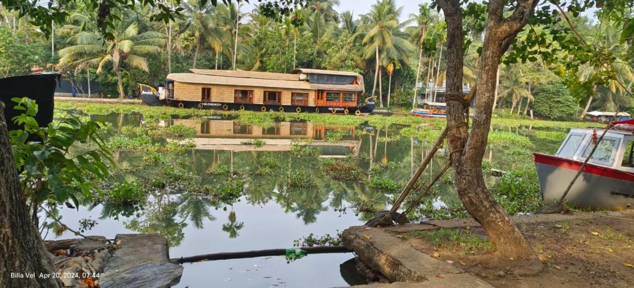 Waterlily Homestay