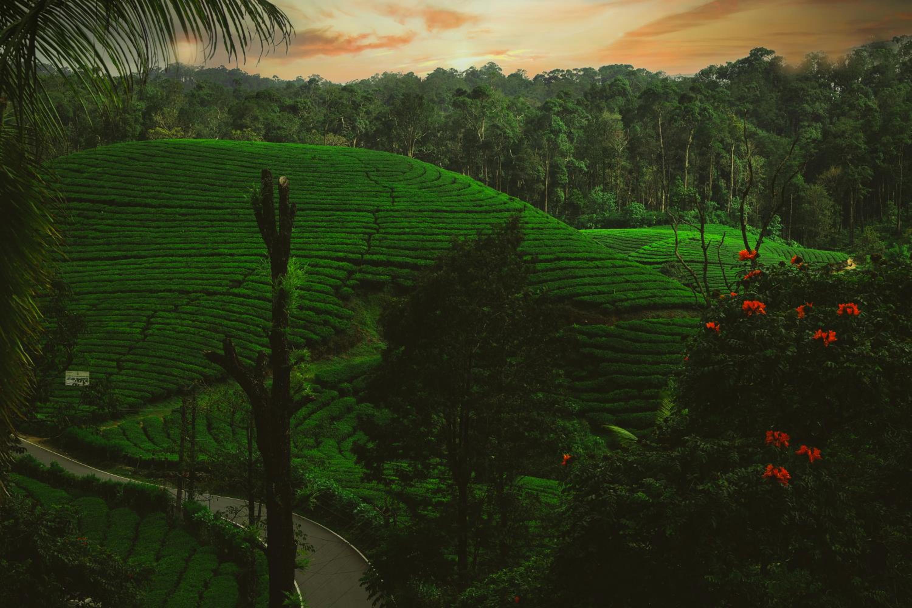 Exotica Holidays