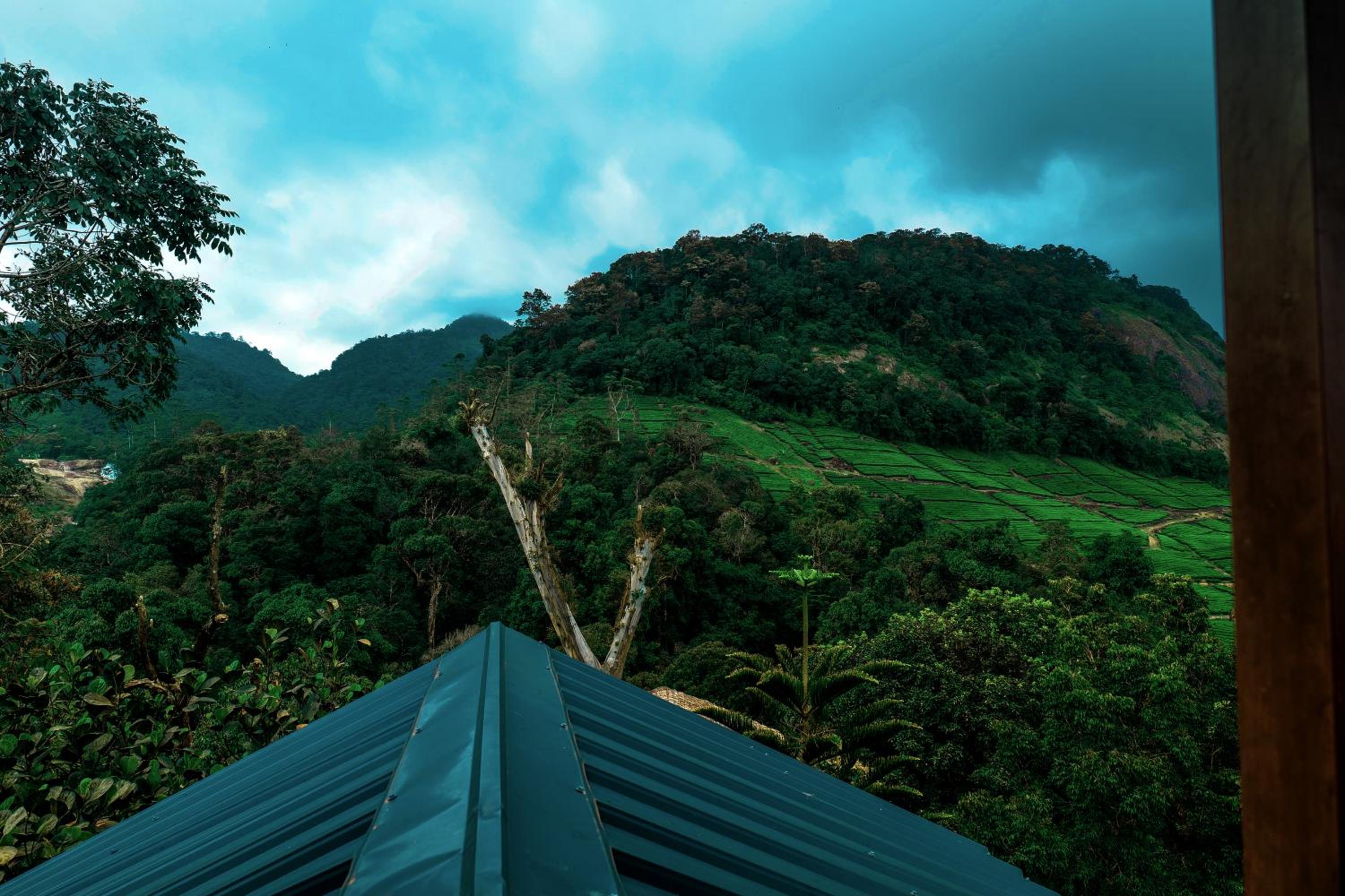 Exotica Holidays