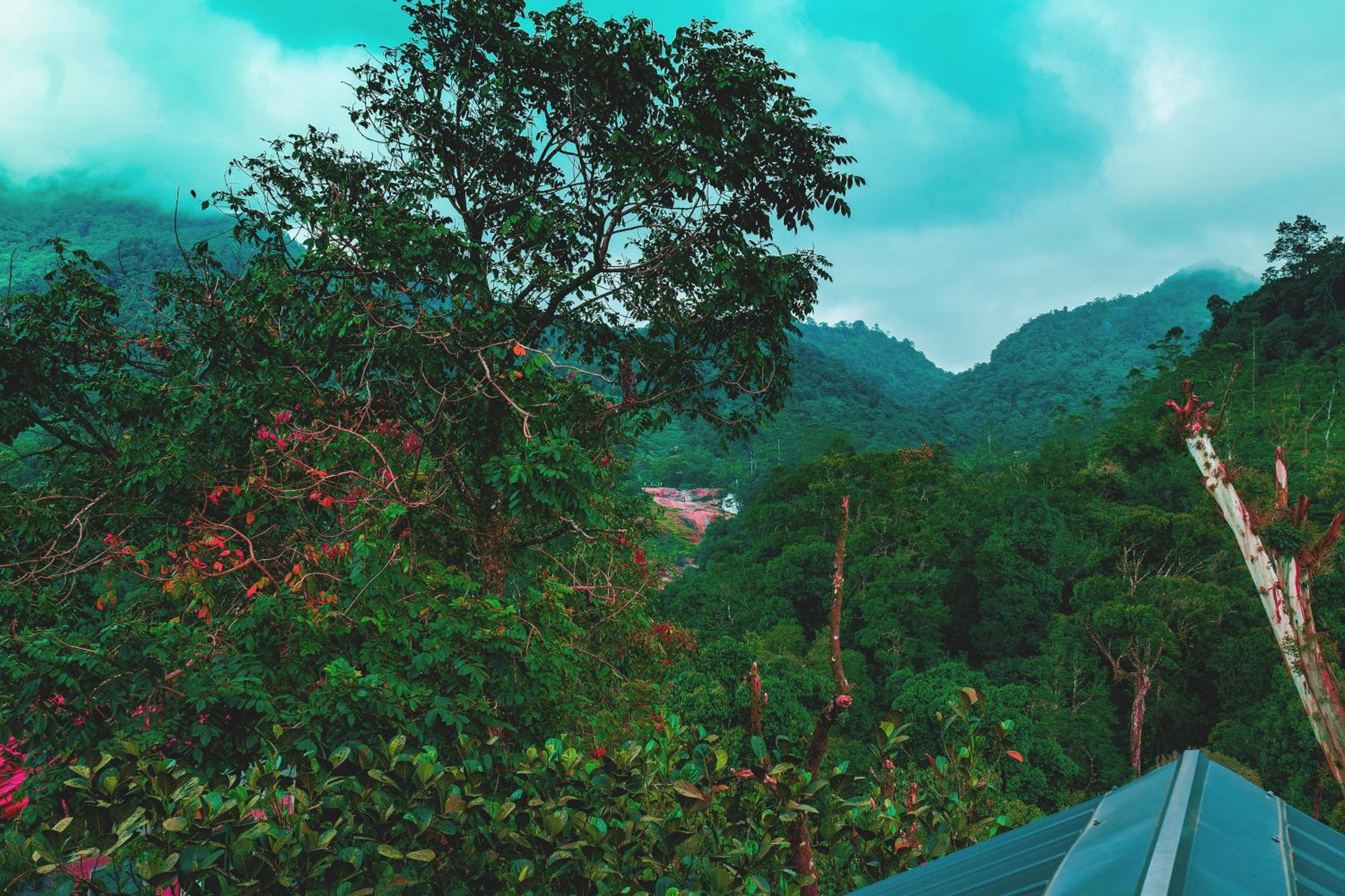 Exotica Holidays