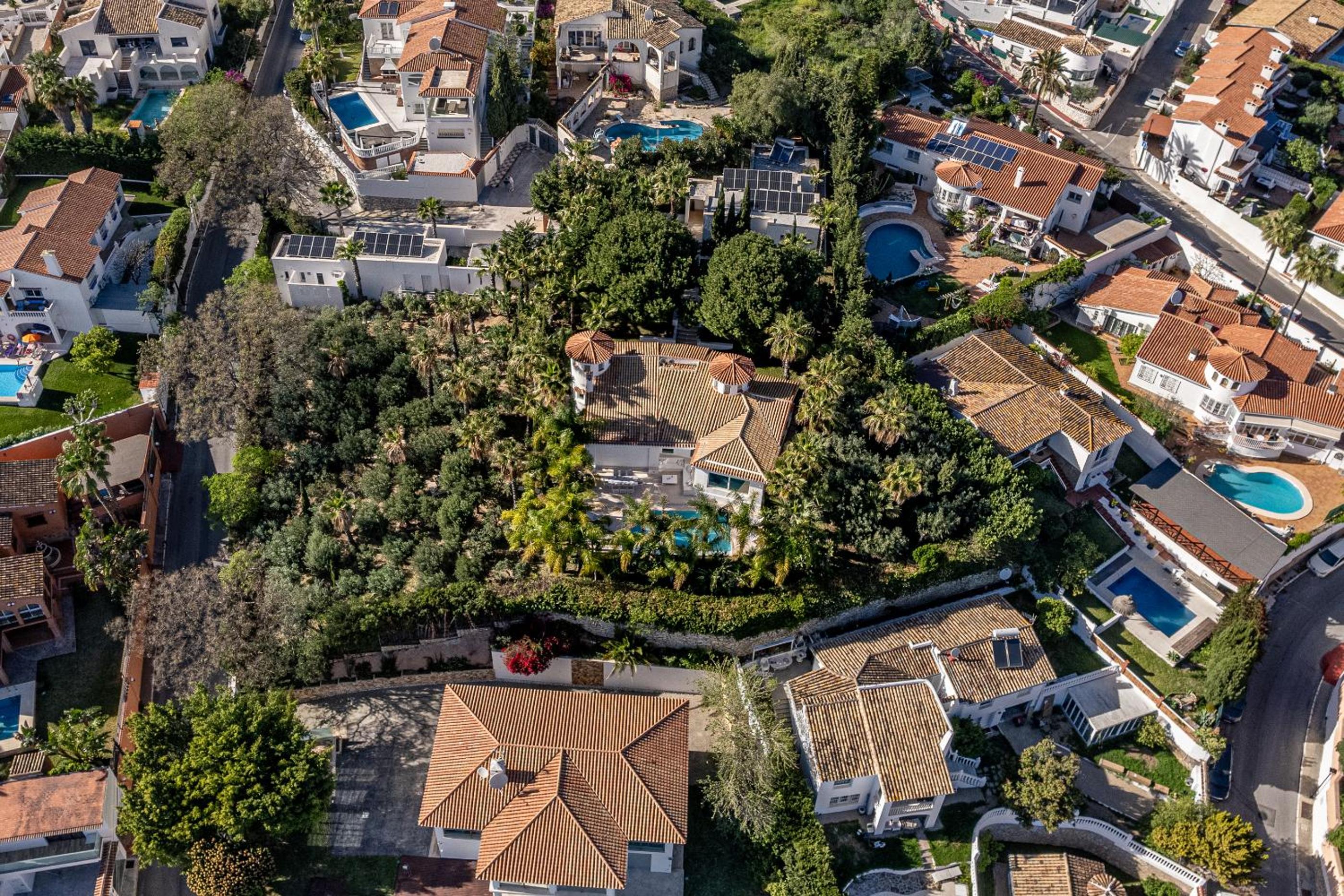TESS Villa Las Coniferas