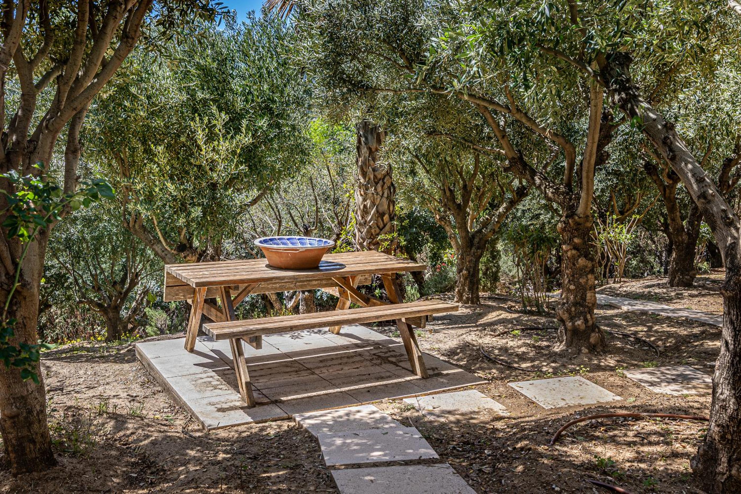 TESS Villa Las Coniferas