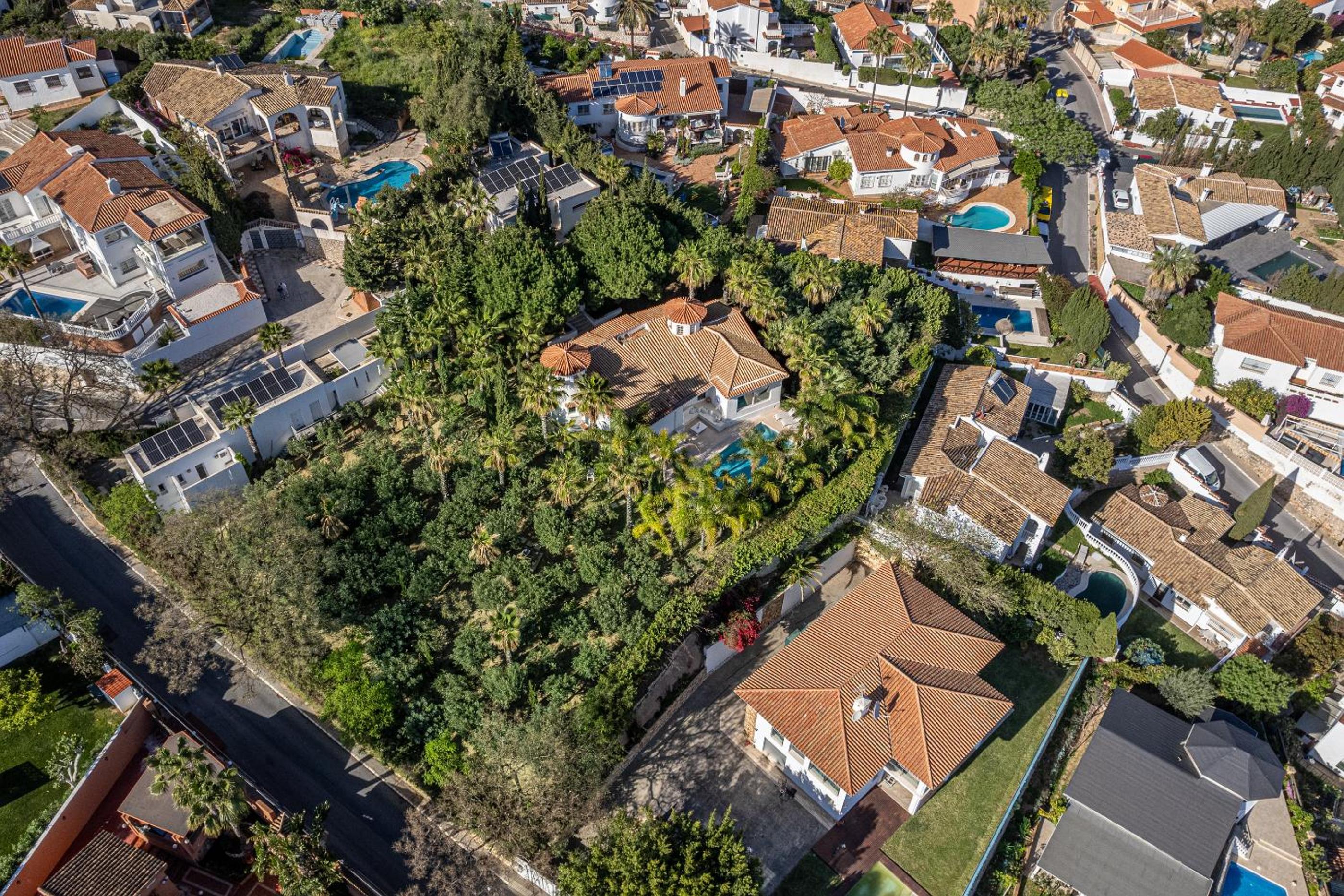 TESS Villa Las Coniferas
