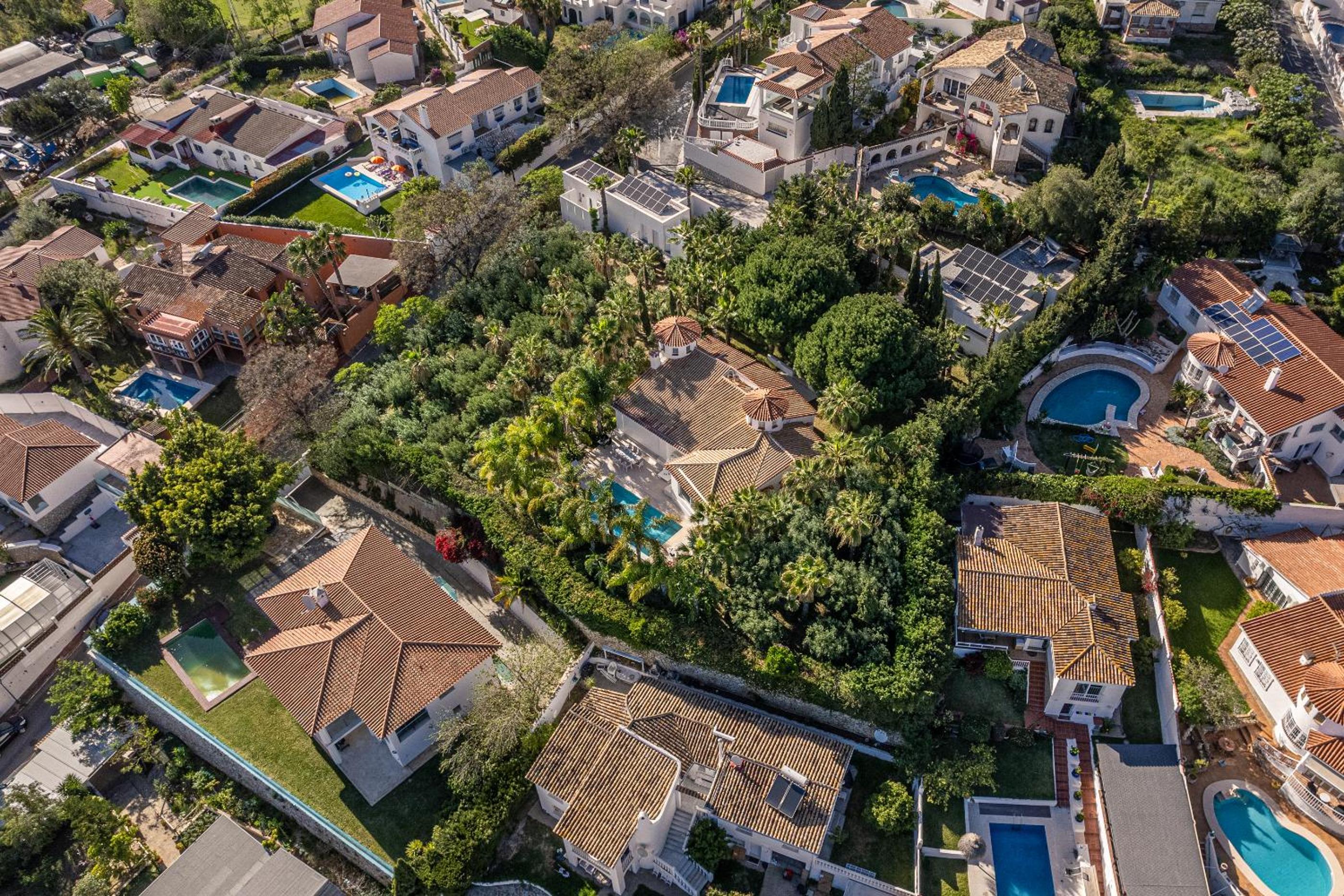 TESS Villa Las Coniferas