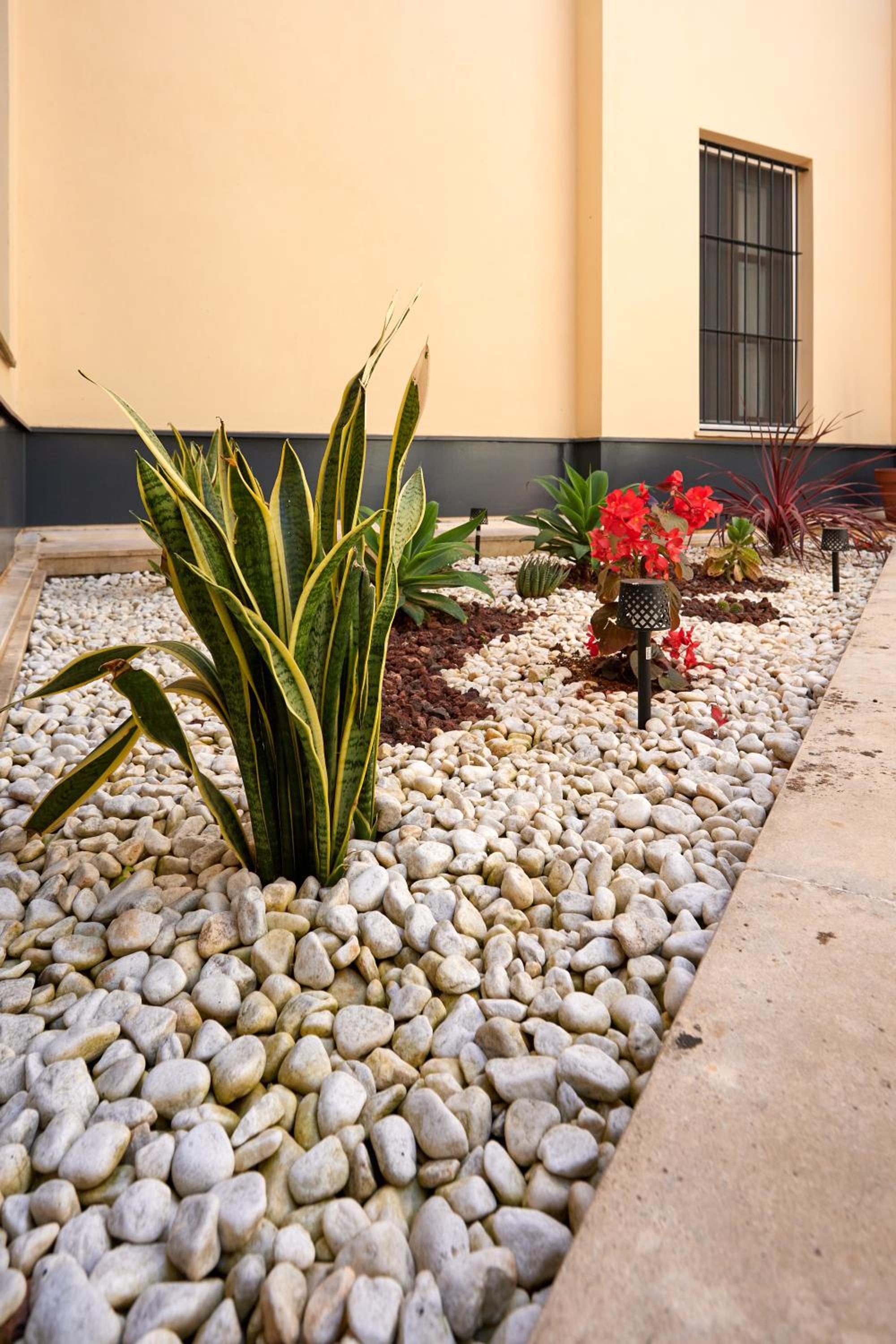 Apartamento Obispo centro Jerez de la Frontera