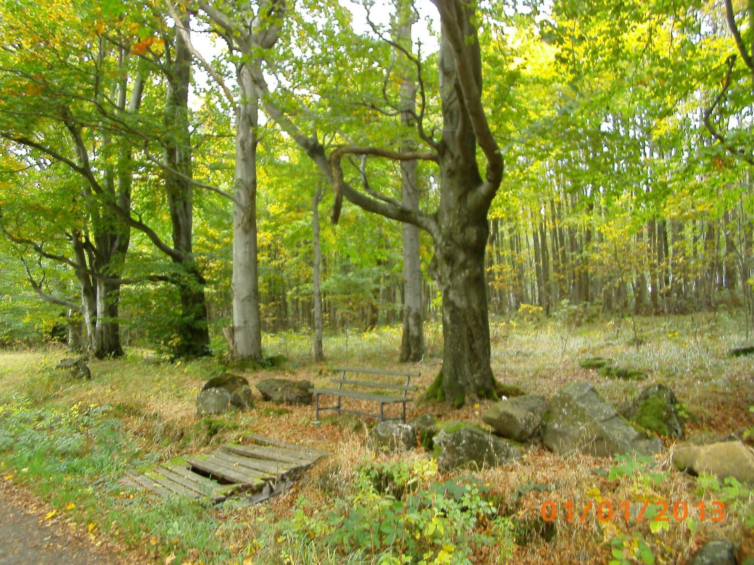 Ferienwohnung Rhönwiese