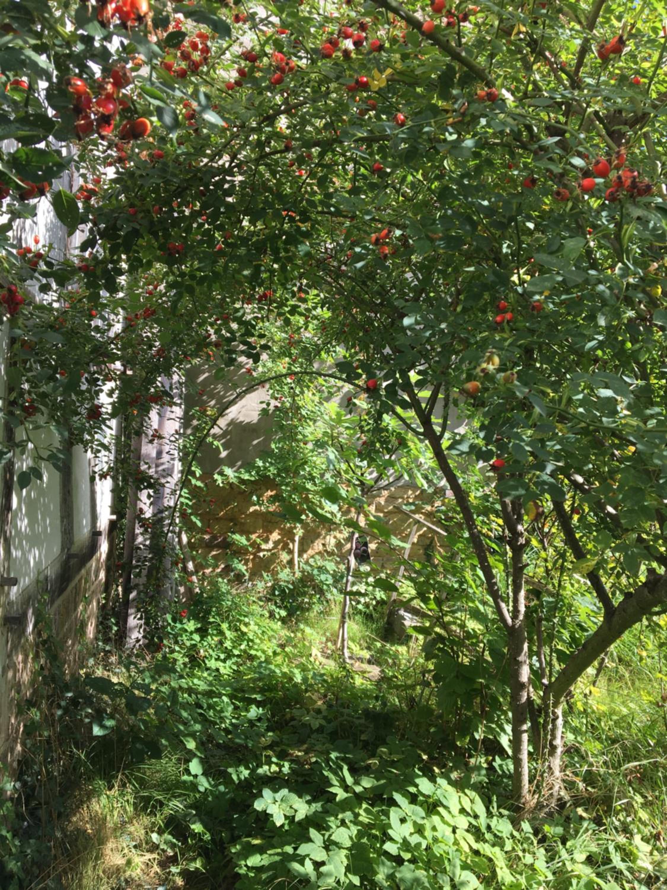 Cherrytree Cottage 1840