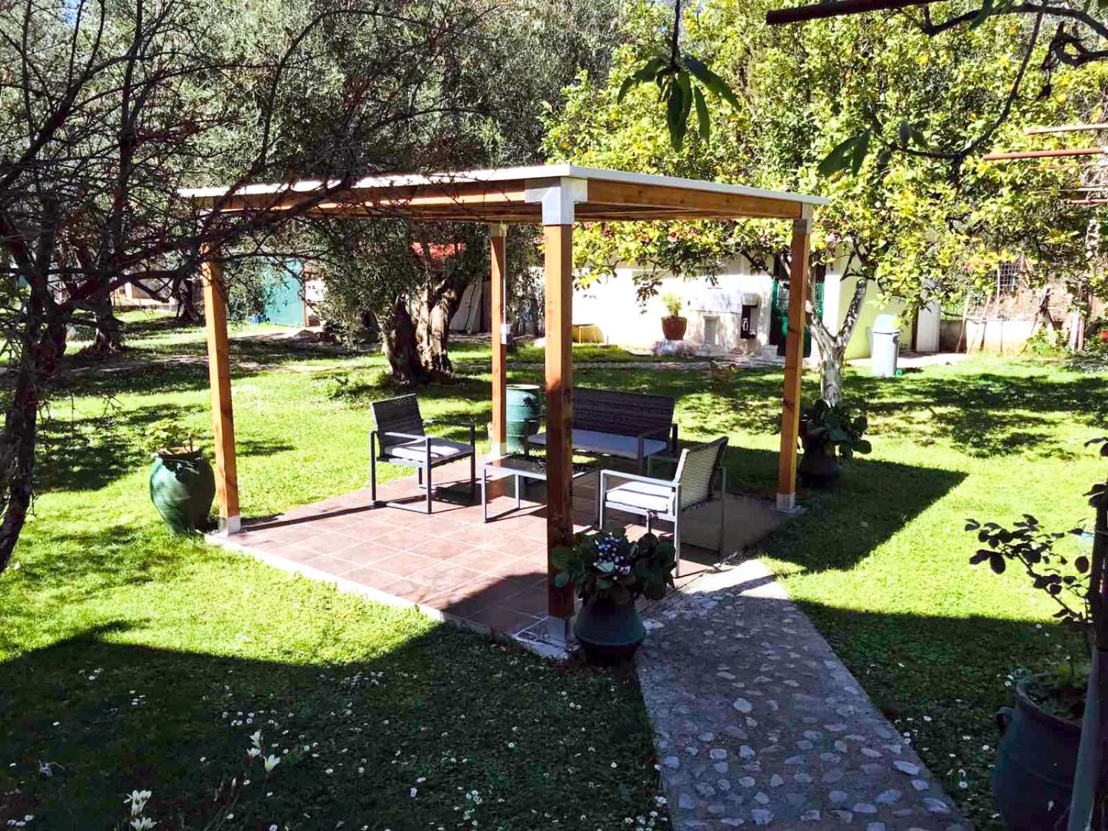 Photo 44