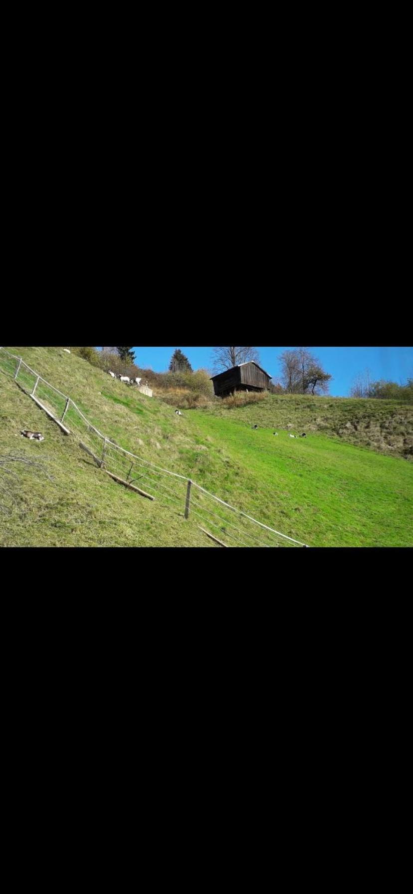 Haus Weißbacher