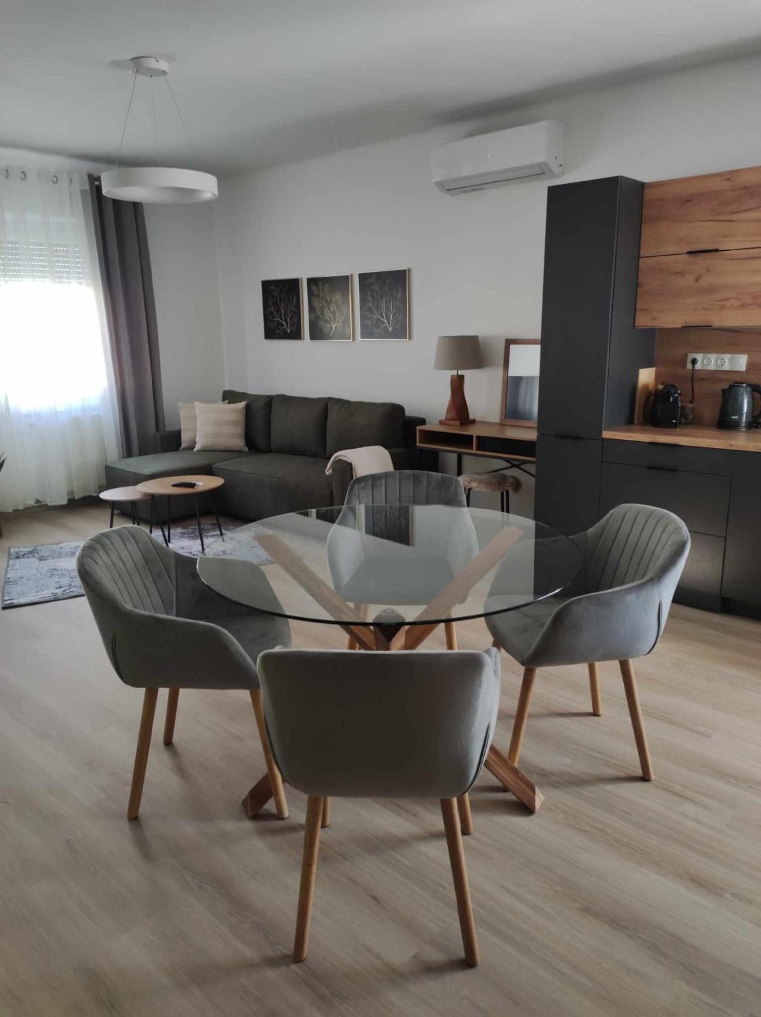 Centrum Apartman 2 view 4