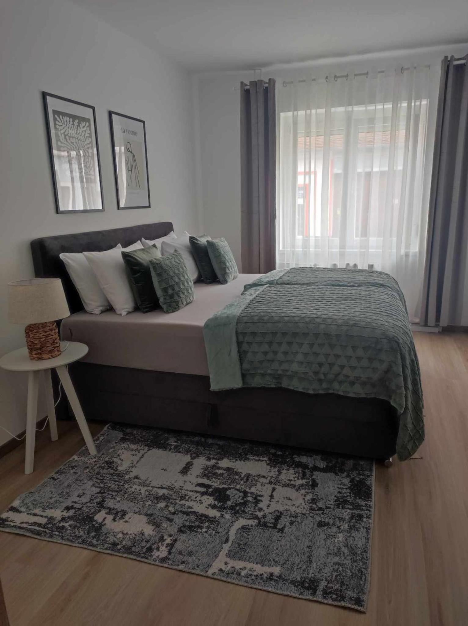 Centrum Apartman 2 view 5