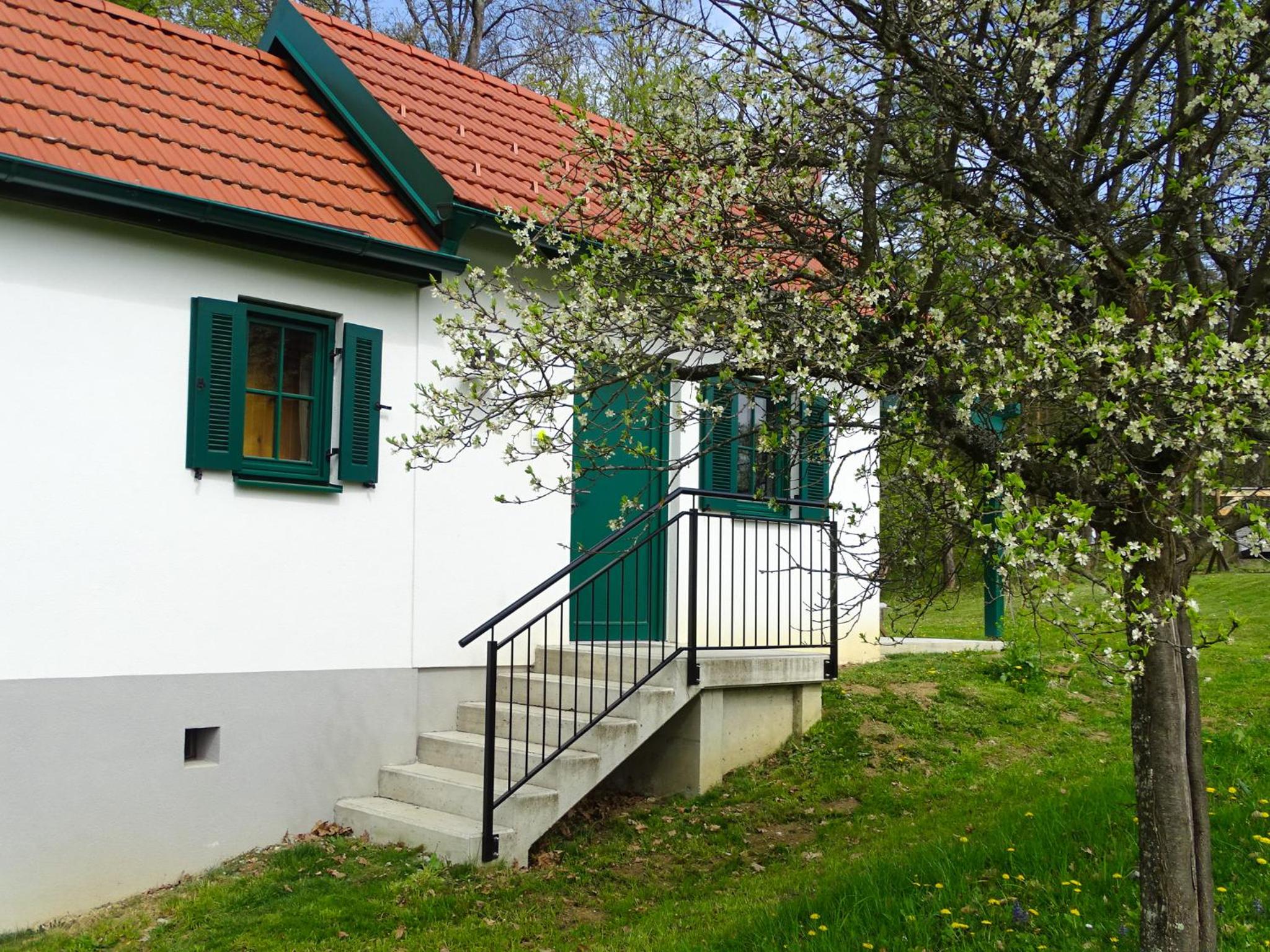 Kellerstöckl am Berg - Das Grüne